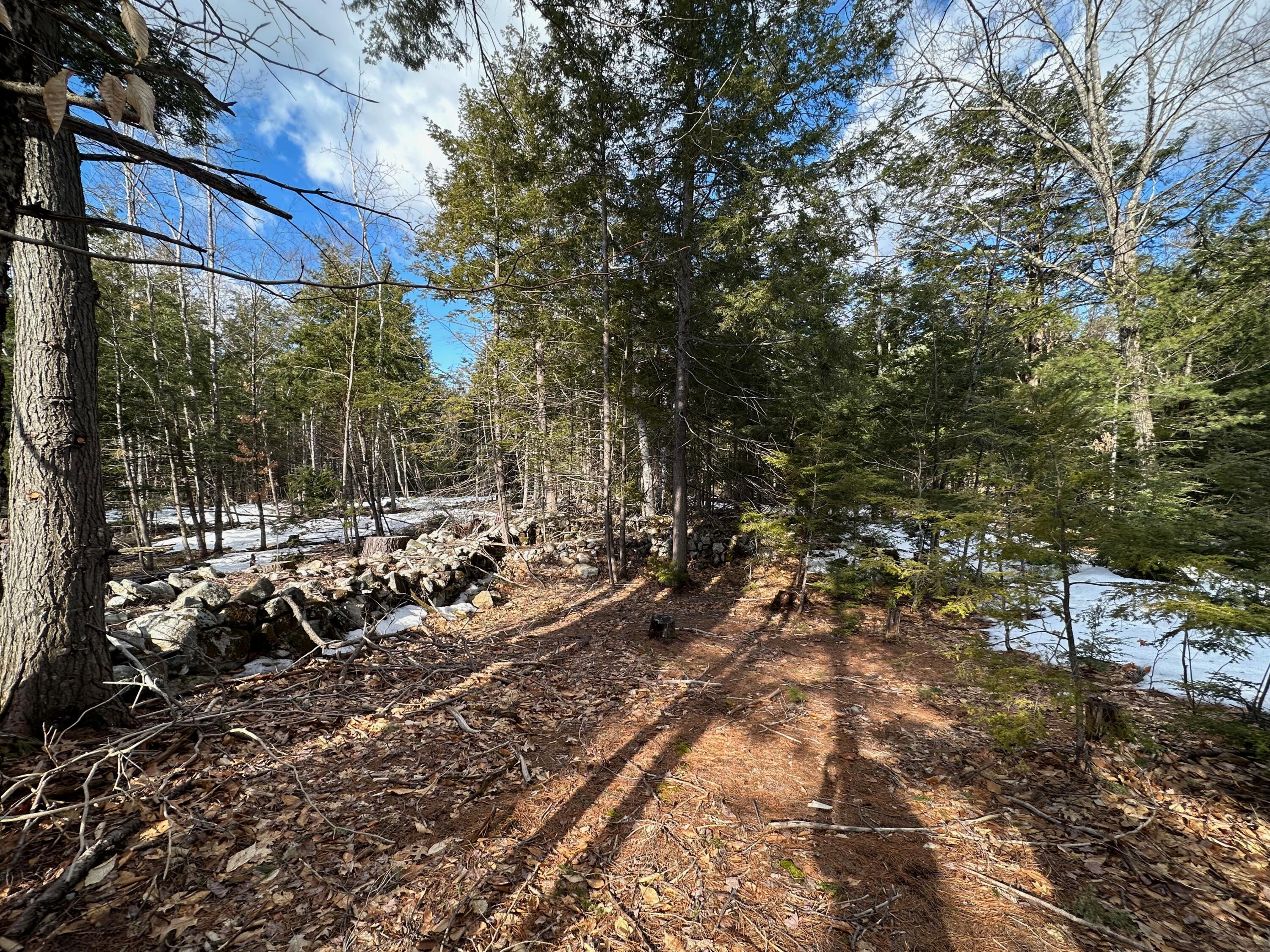 0 Sandy River Road Chesterville, ME 04938 - Photo 20 of 84 ROCK WALLS