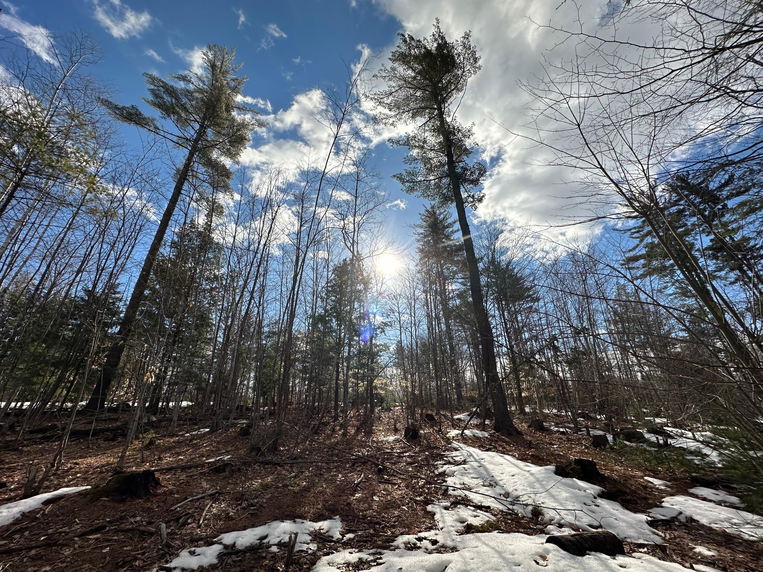 0 Sandy River Road Chesterville, ME 04938 - Photo 25 of 84 PINES