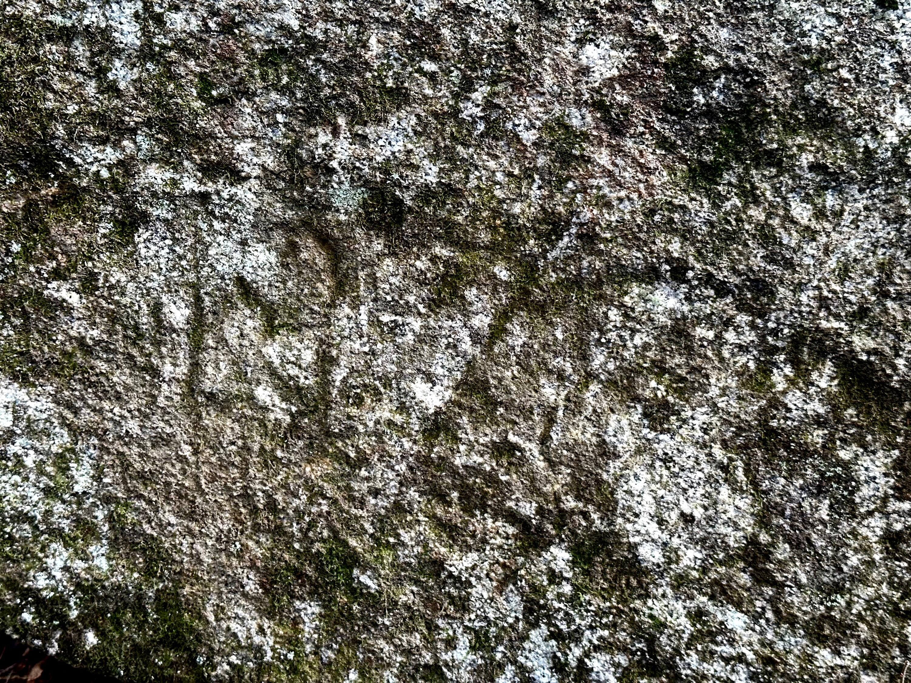 0 Sandy River Road Chesterville, ME 04938 - Photo 29 of 84 '1878' ENGRAVING