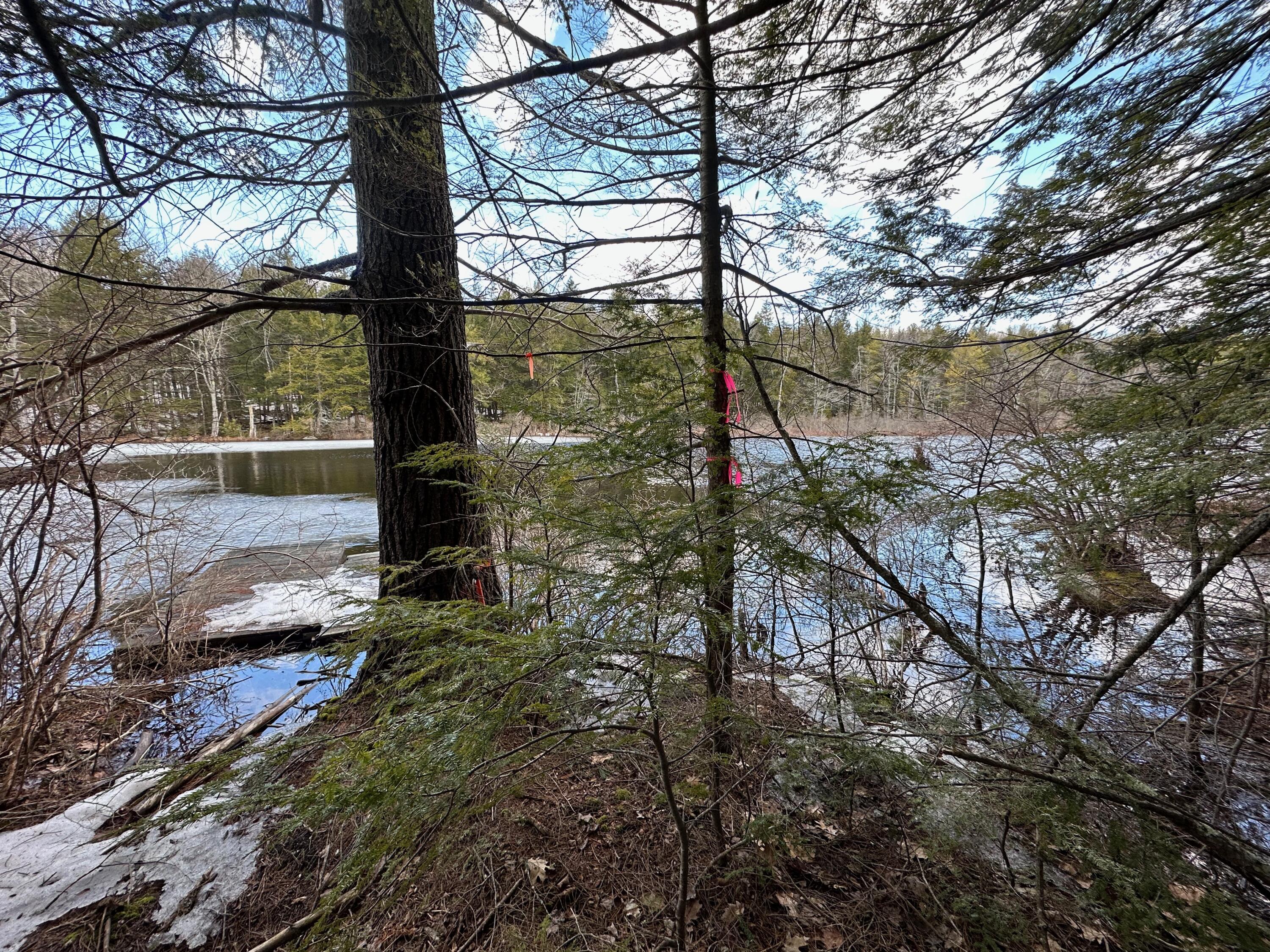0 Sandy River Road Chesterville, ME 04938 - Photo 30 of 84 BOUNDARY PIN