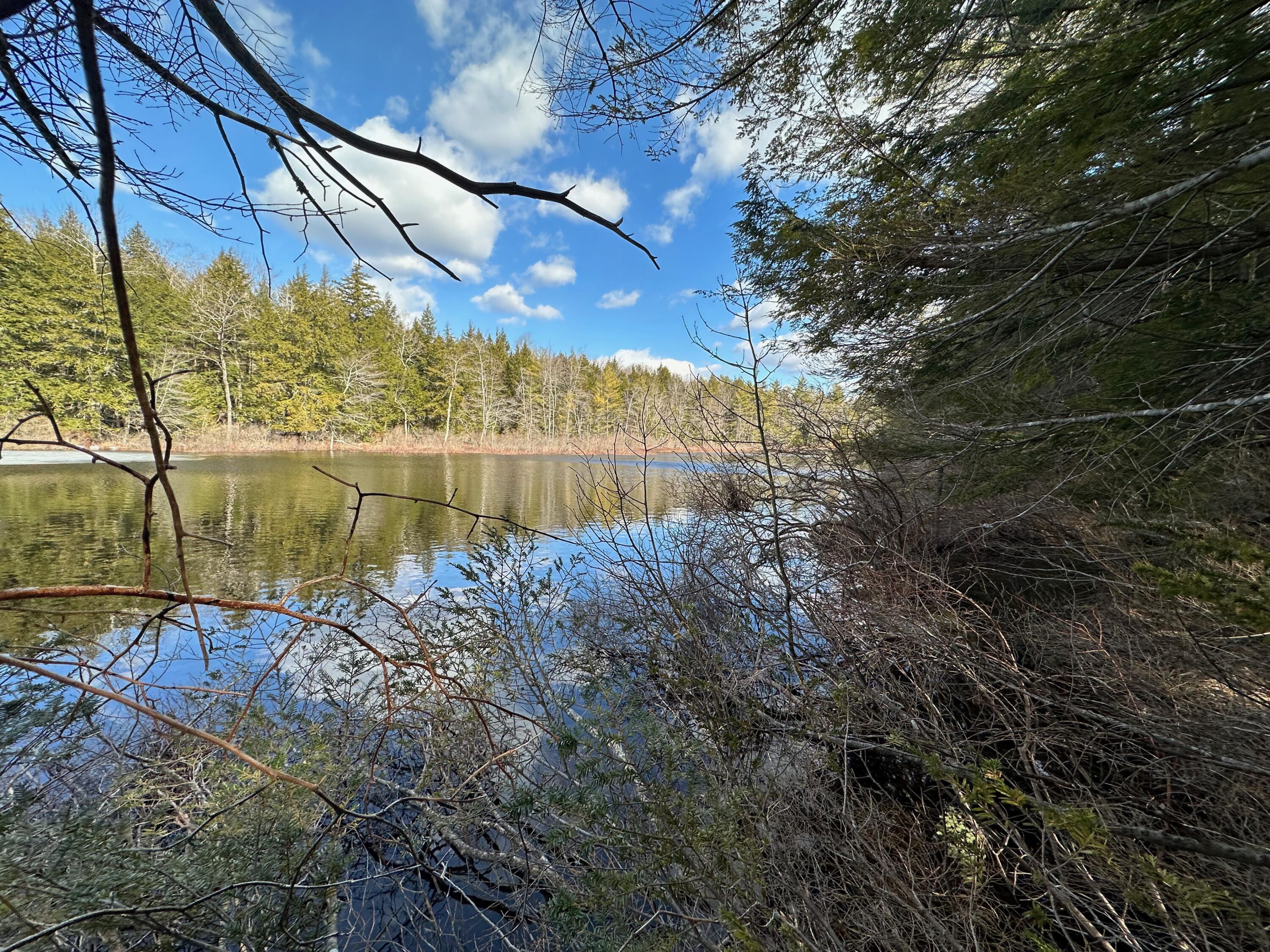 0 Sandy River Road Chesterville, ME 04938 - Photo 31 of 84 LAKEFRONT