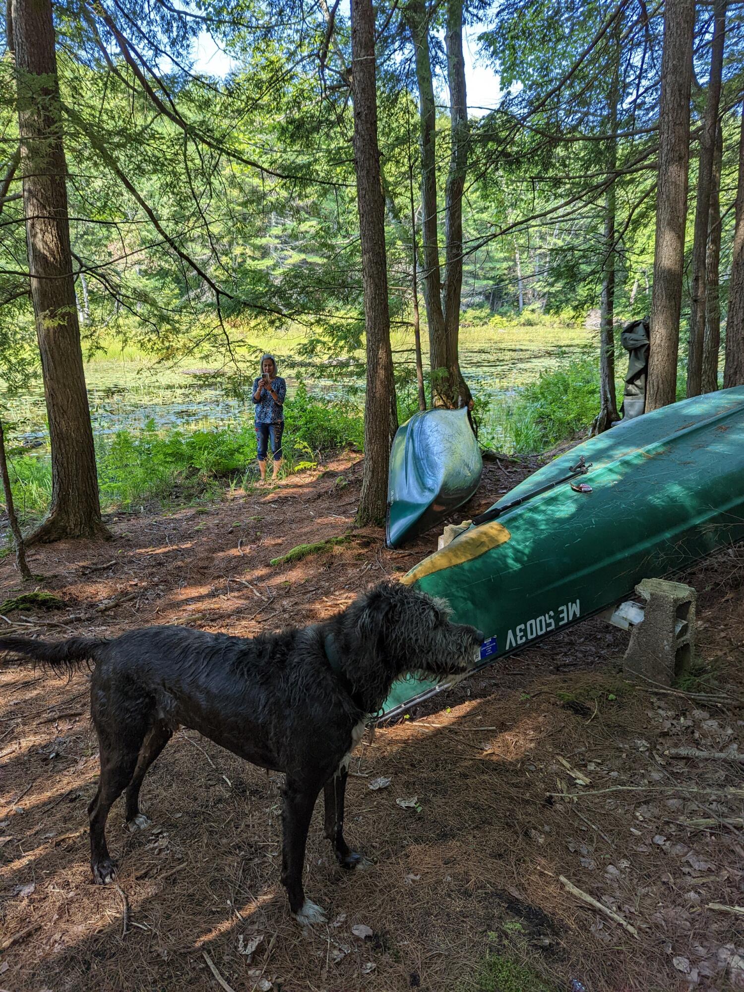 0 Sandy River Road Chesterville, ME 04938 - Photo 32 of 84 LAKEFRONT