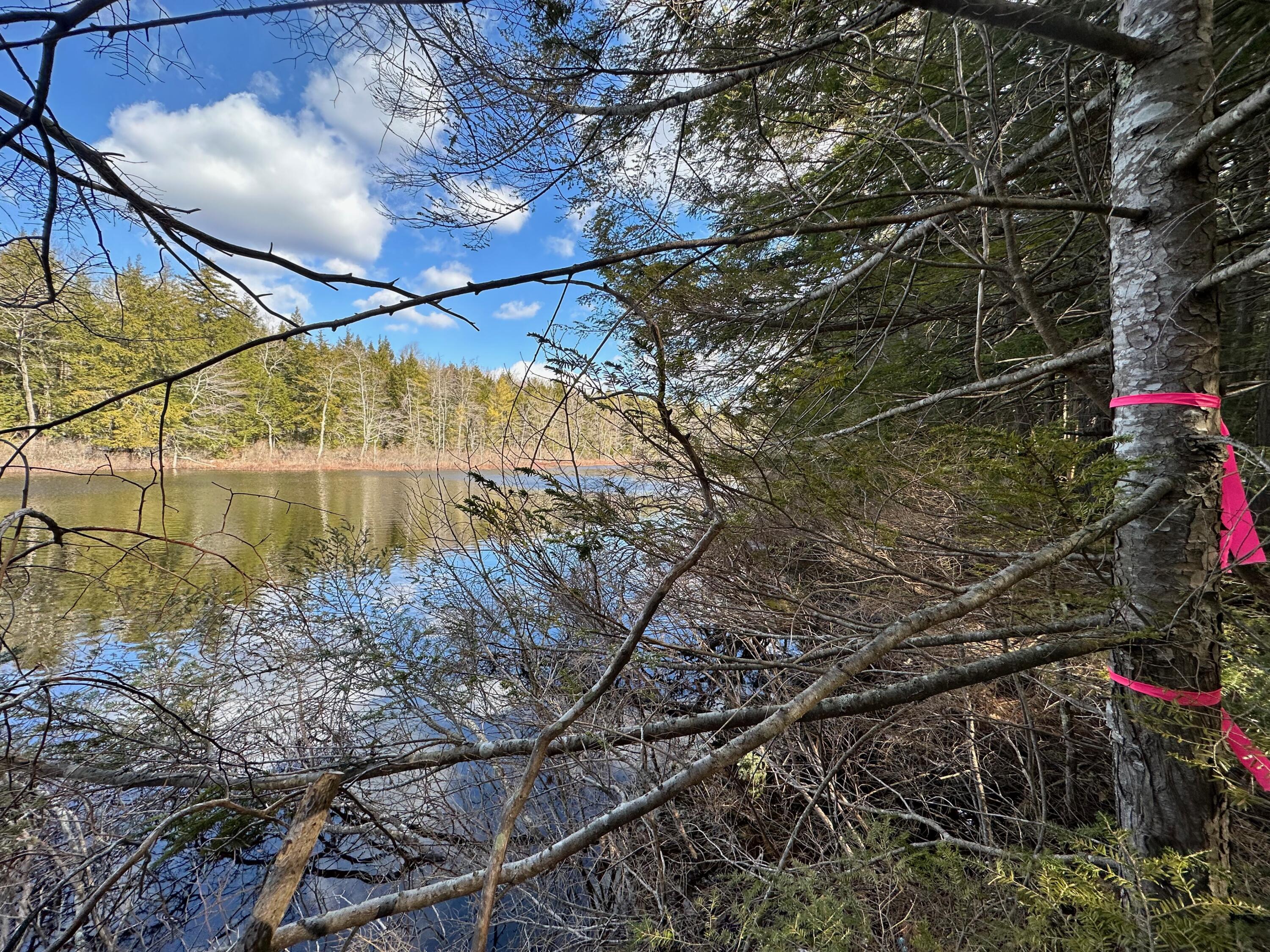 0 Sandy River Road Chesterville, ME 04938 - Photo 33 of 84 LAKEFRONT