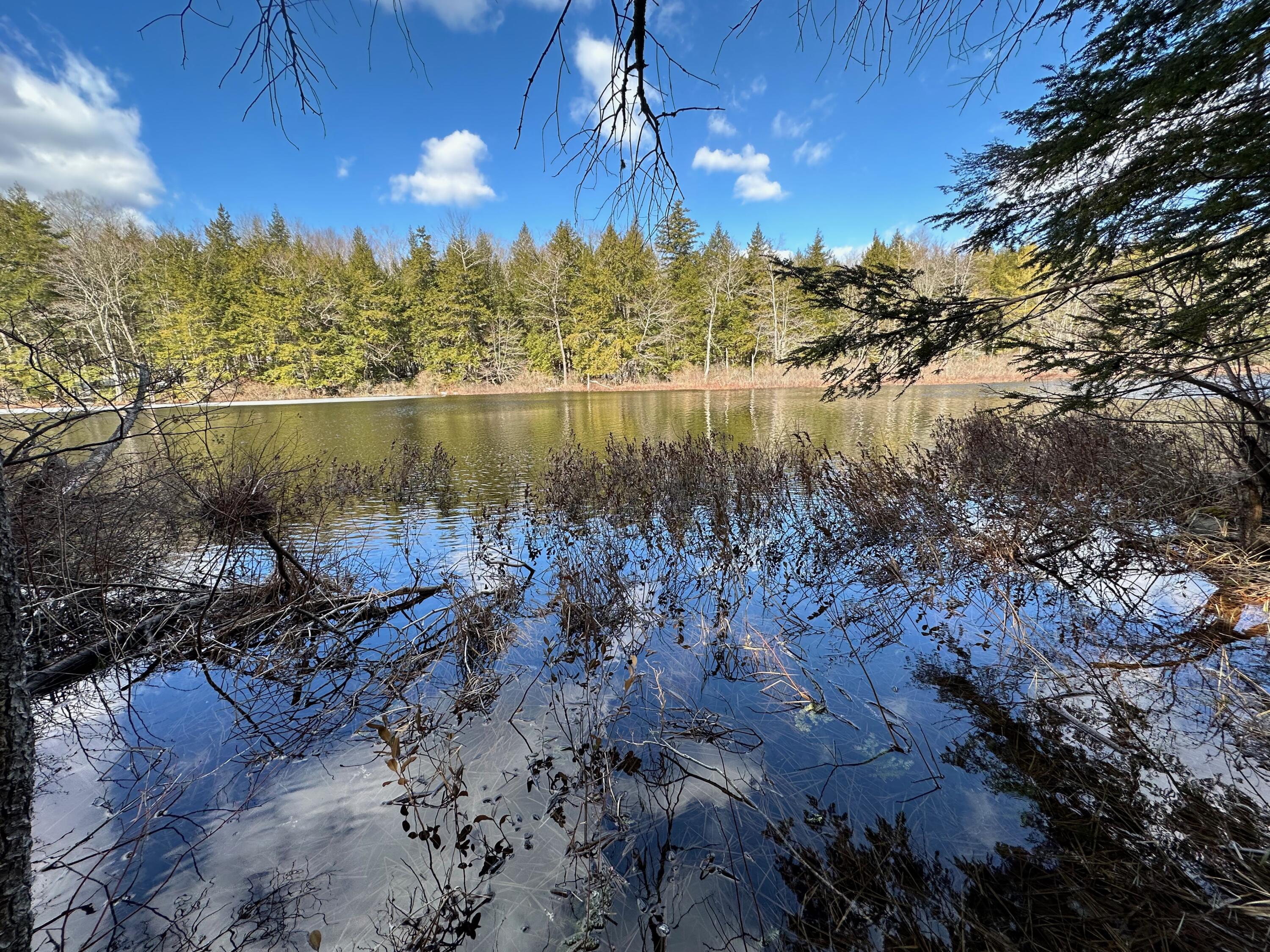 0 Sandy River Road Chesterville, ME 04938 - Photo 34 of 84 LAKEFRONT