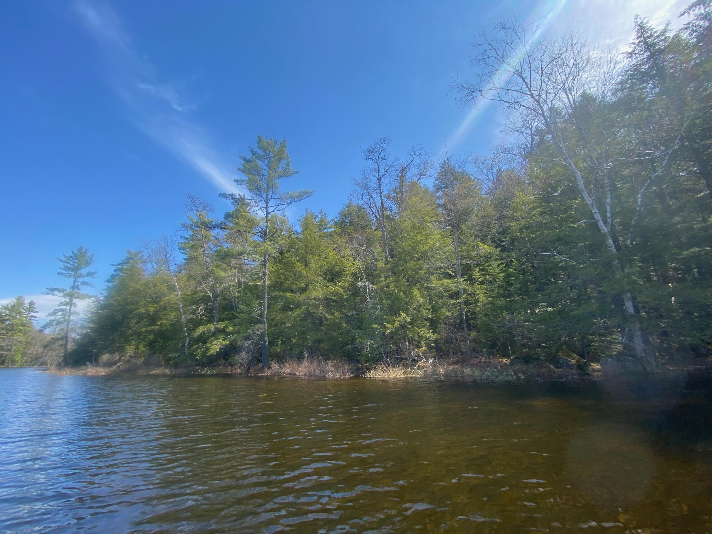 0 Sandy River Road Chesterville, ME 04938 - Photo 35 of 84 LAKEFRONT