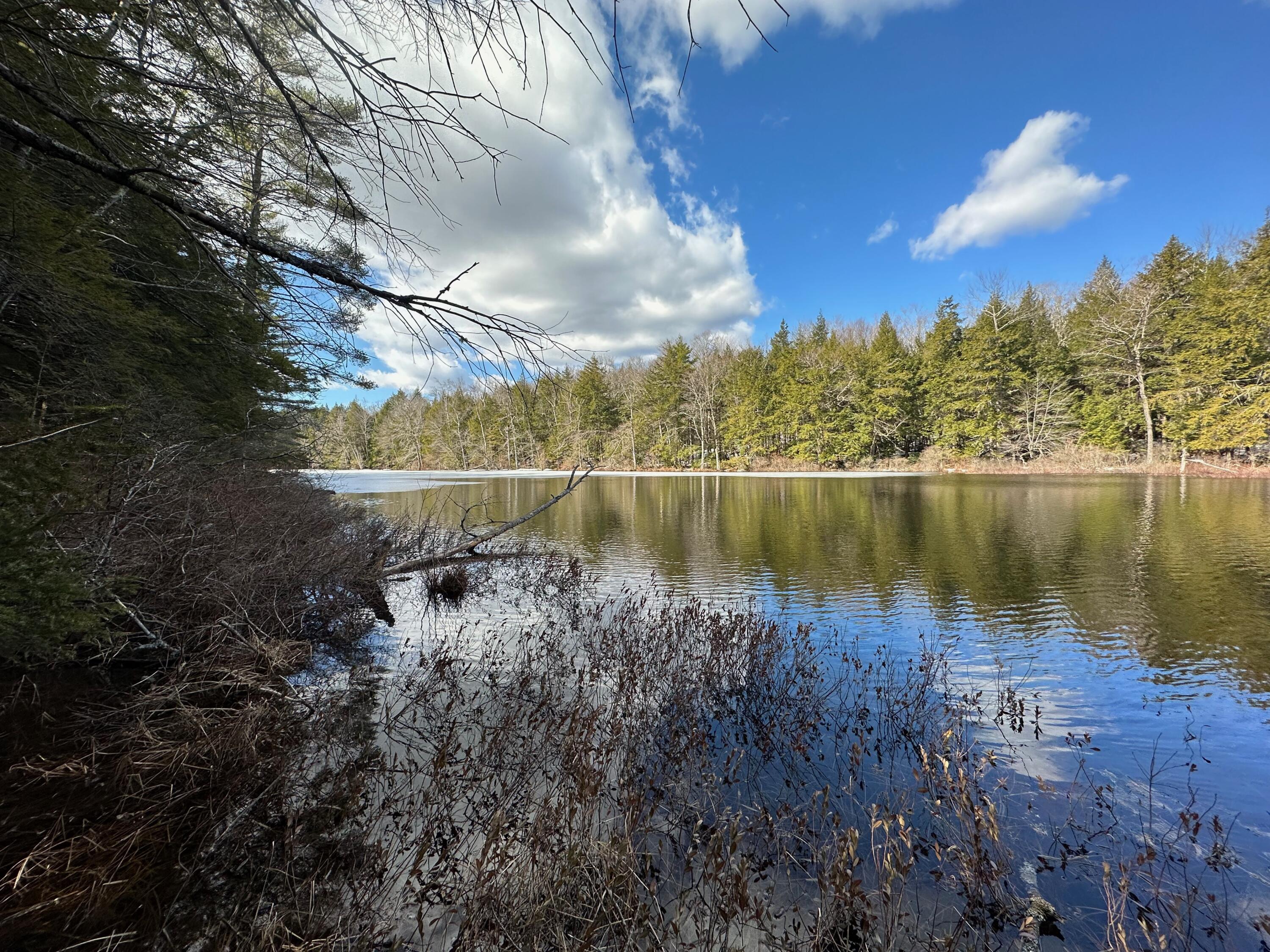 0 Sandy River Road Chesterville, ME 04938 - Photo 36 of 84 LAKEFRONT