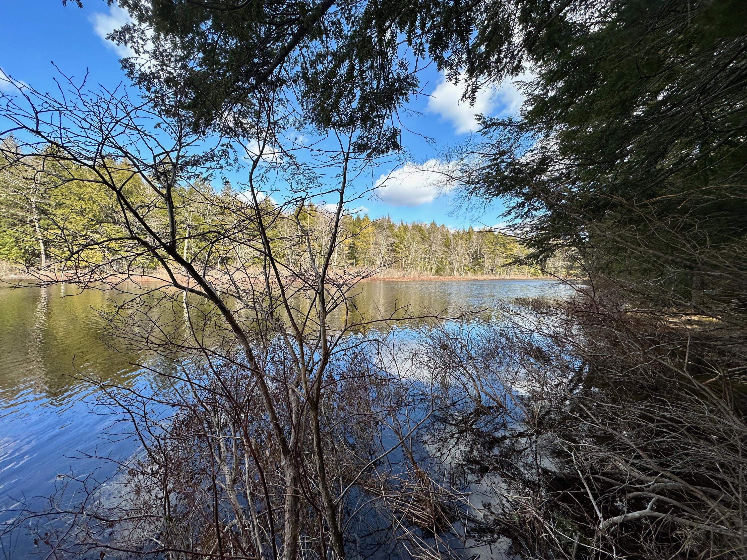 0 Sandy River Road Chesterville, ME 04938 - Photo 37 of 84 LAKEFRONT