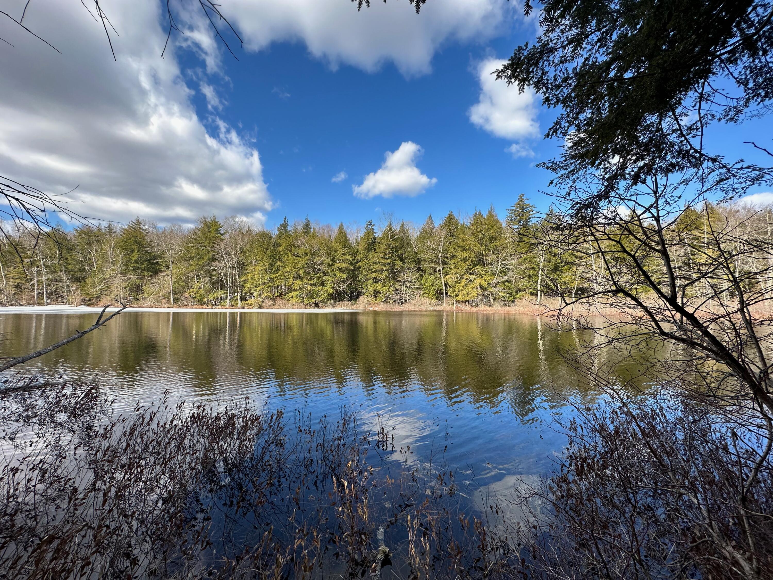 0 Sandy River Road Chesterville, ME 04938 - Photo 38 of 84 LAKEFRONT