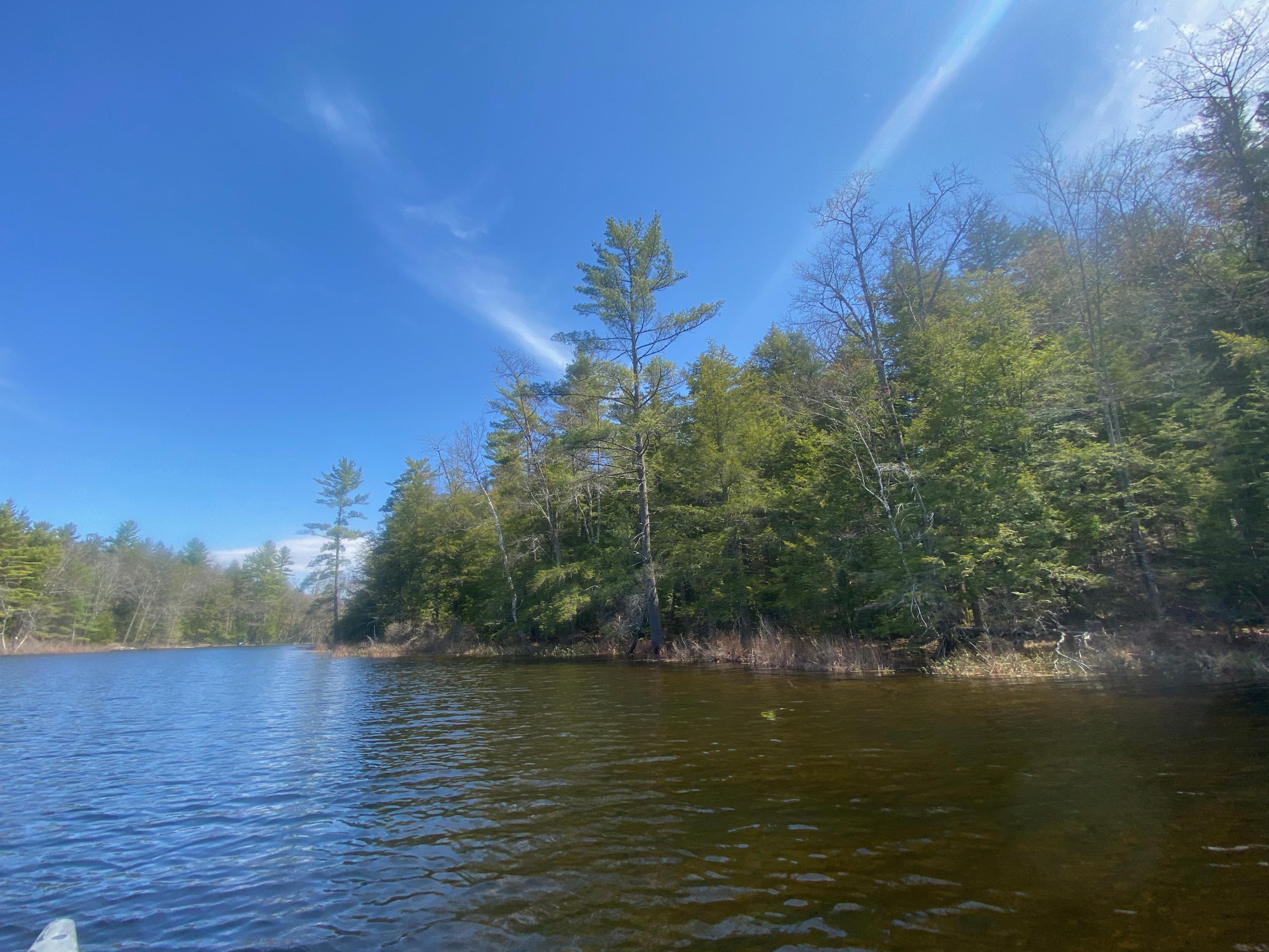 0 Sandy River Road Chesterville, ME 04938 - Photo 4 of 84 LAKEFRONT
