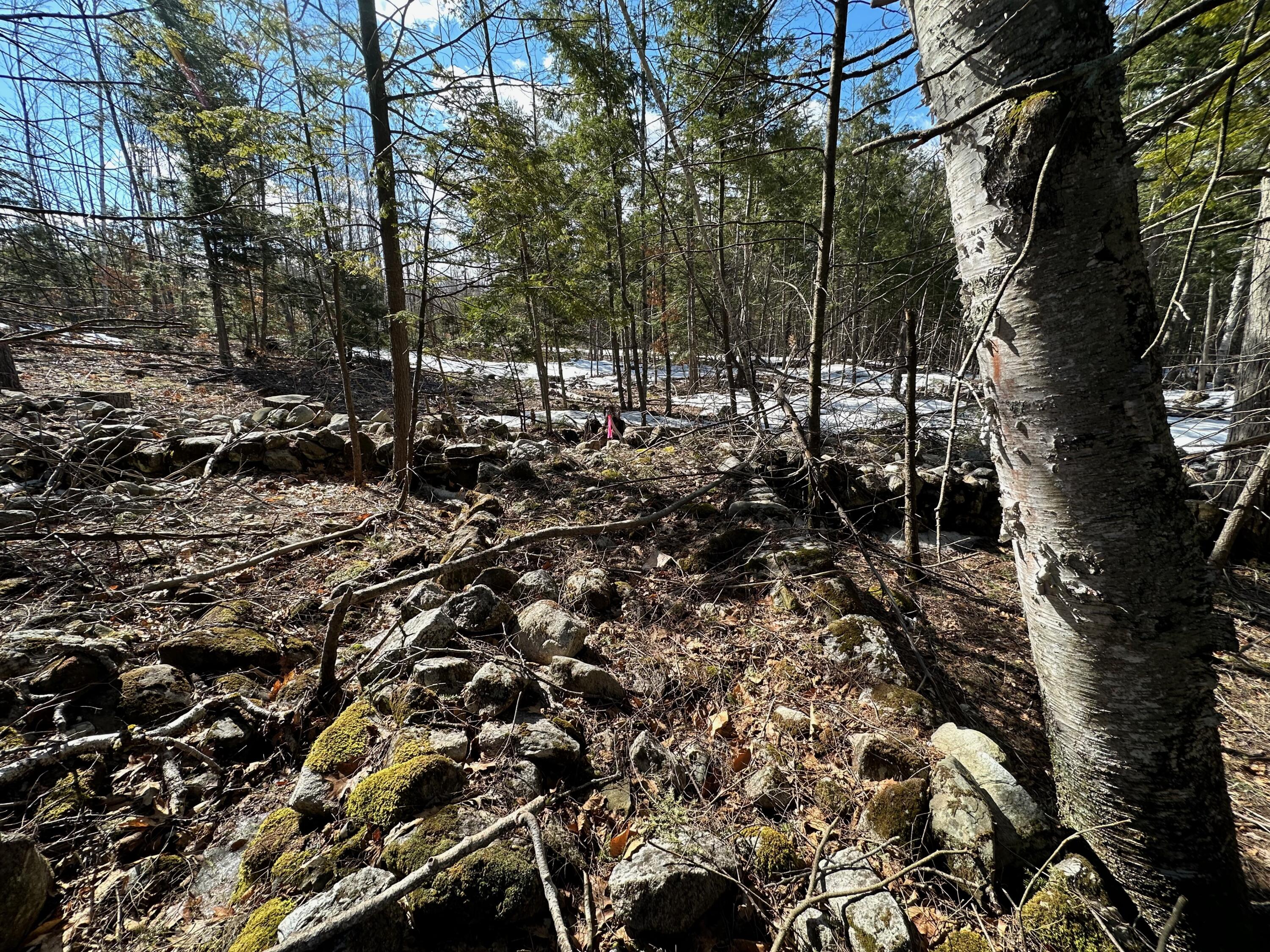 0 Sandy River Road Chesterville, ME 04938 - Photo 42 of 84 ROCK WALLS
