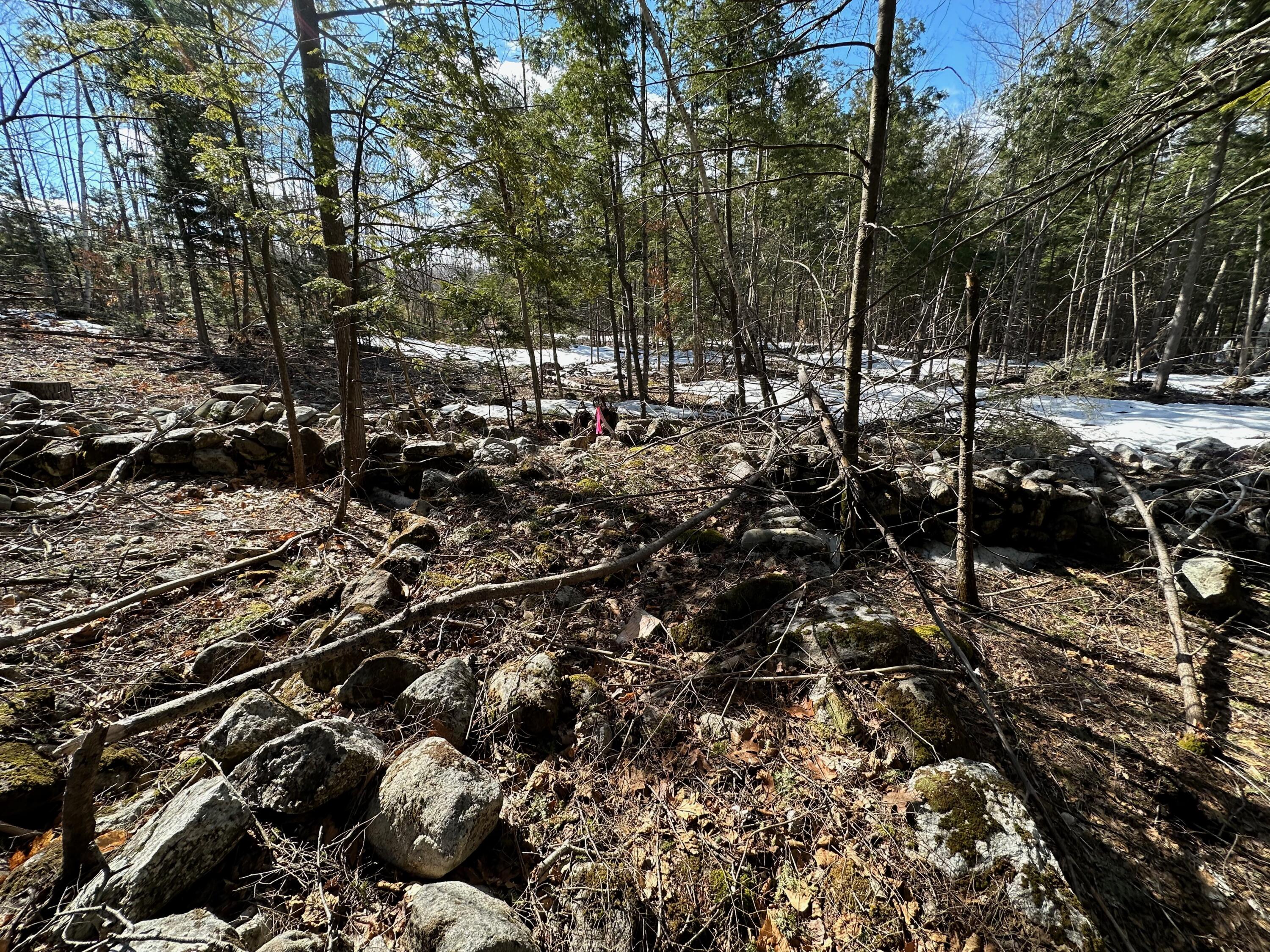 0 Sandy River Road Chesterville, ME 04938 - Photo 43 of 84 ROCK WALLS