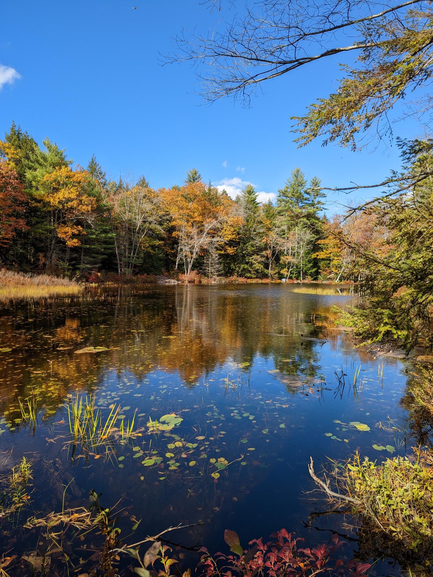 0 Sandy River Road Chesterville, ME 04938 - Photo 49 of 84 OUTLET