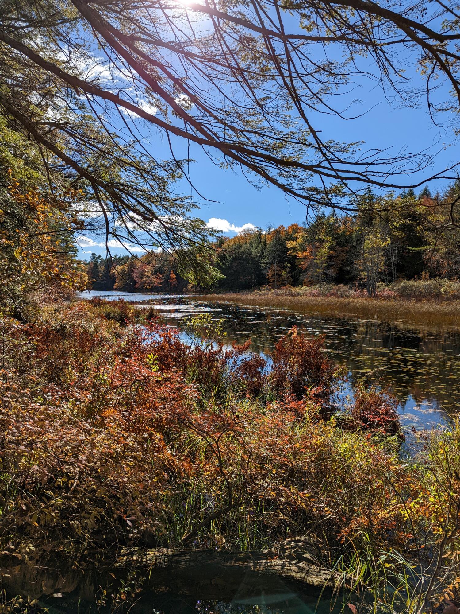 0 Sandy River Road Chesterville, ME 04938 - Photo 50 of 84 OUTLET