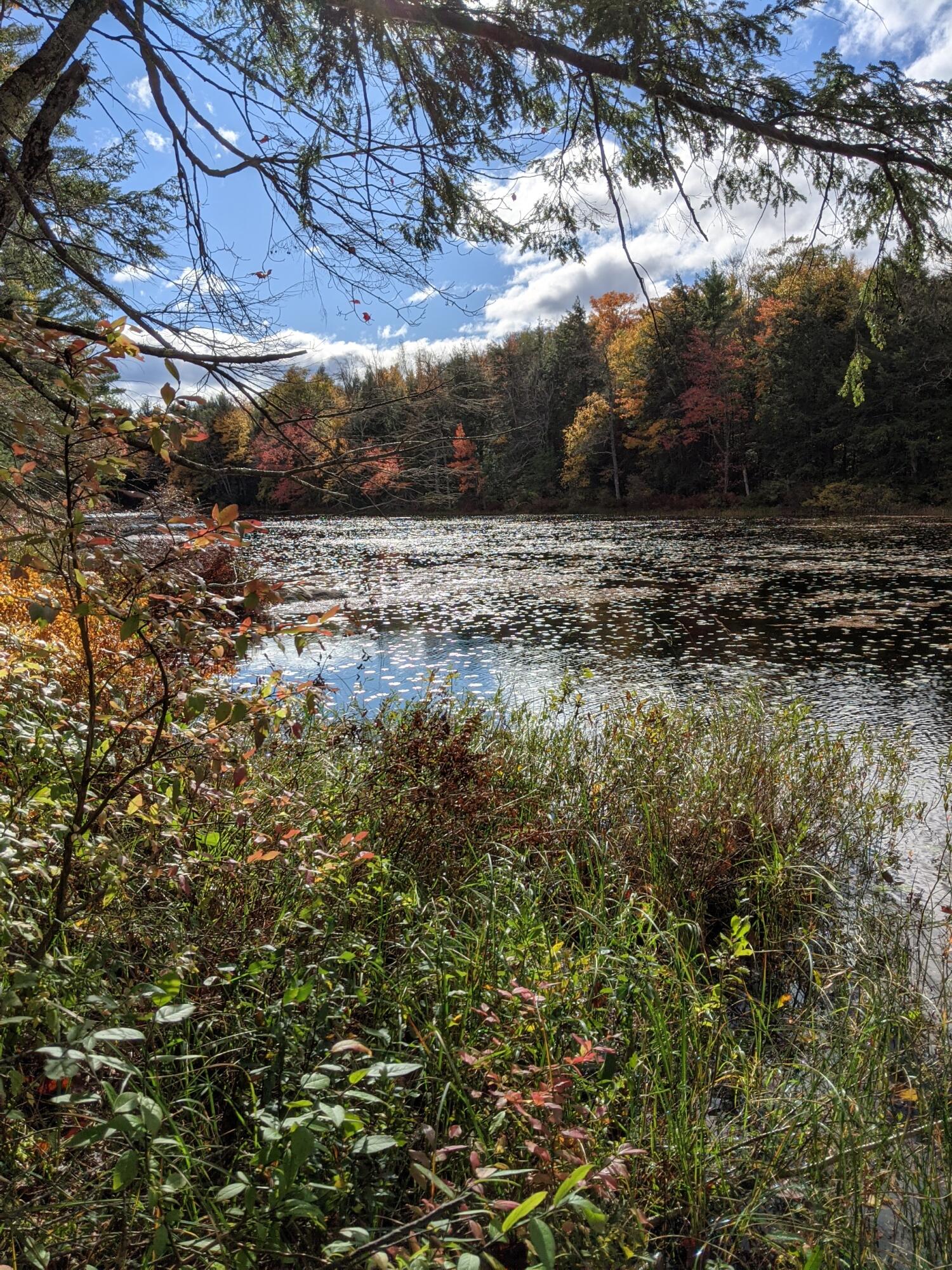 0 Sandy River Road Chesterville, ME 04938 - Photo 51 of 84 OUTLET