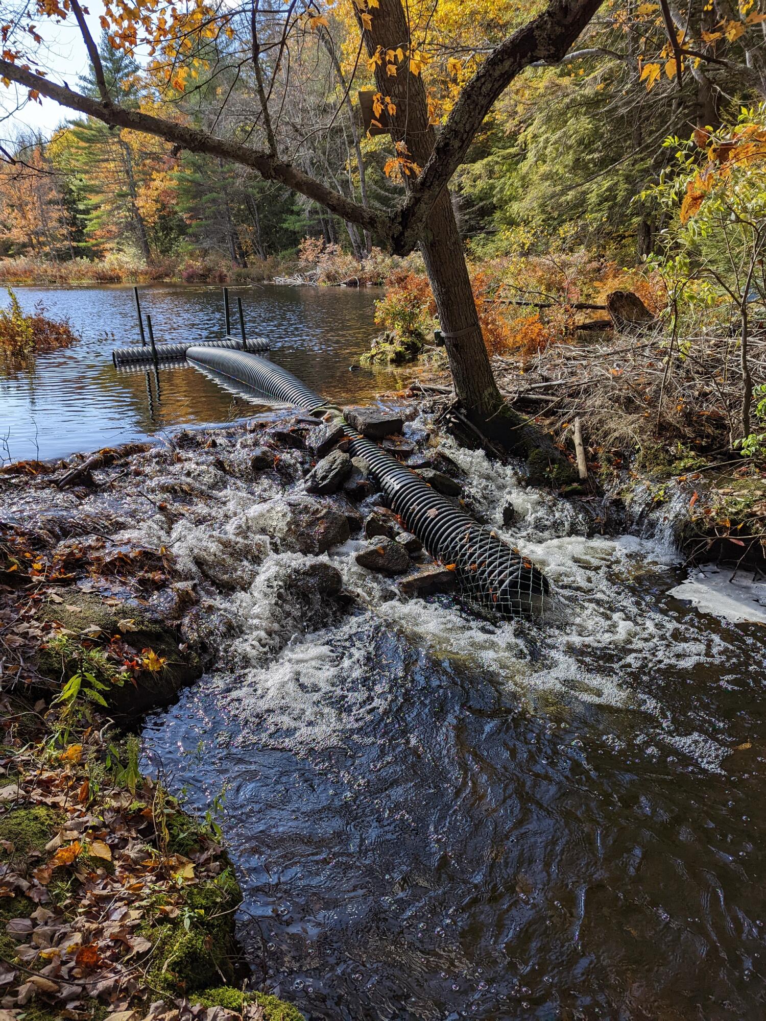 0 Sandy River Road Chesterville, ME 04938 - Photo 52 of 84 DAM