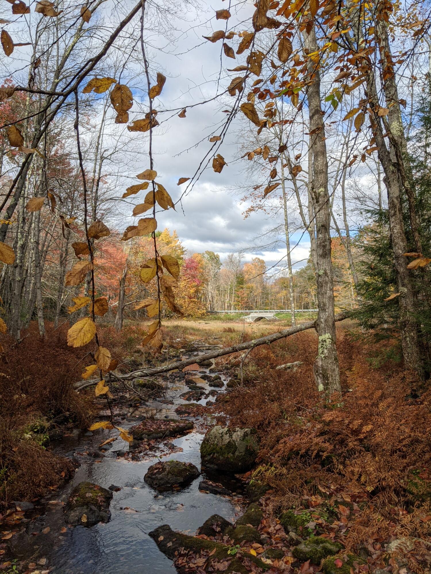 0 Sandy River Road Chesterville, ME 04938 - Photo 53 of 84 OUTLET