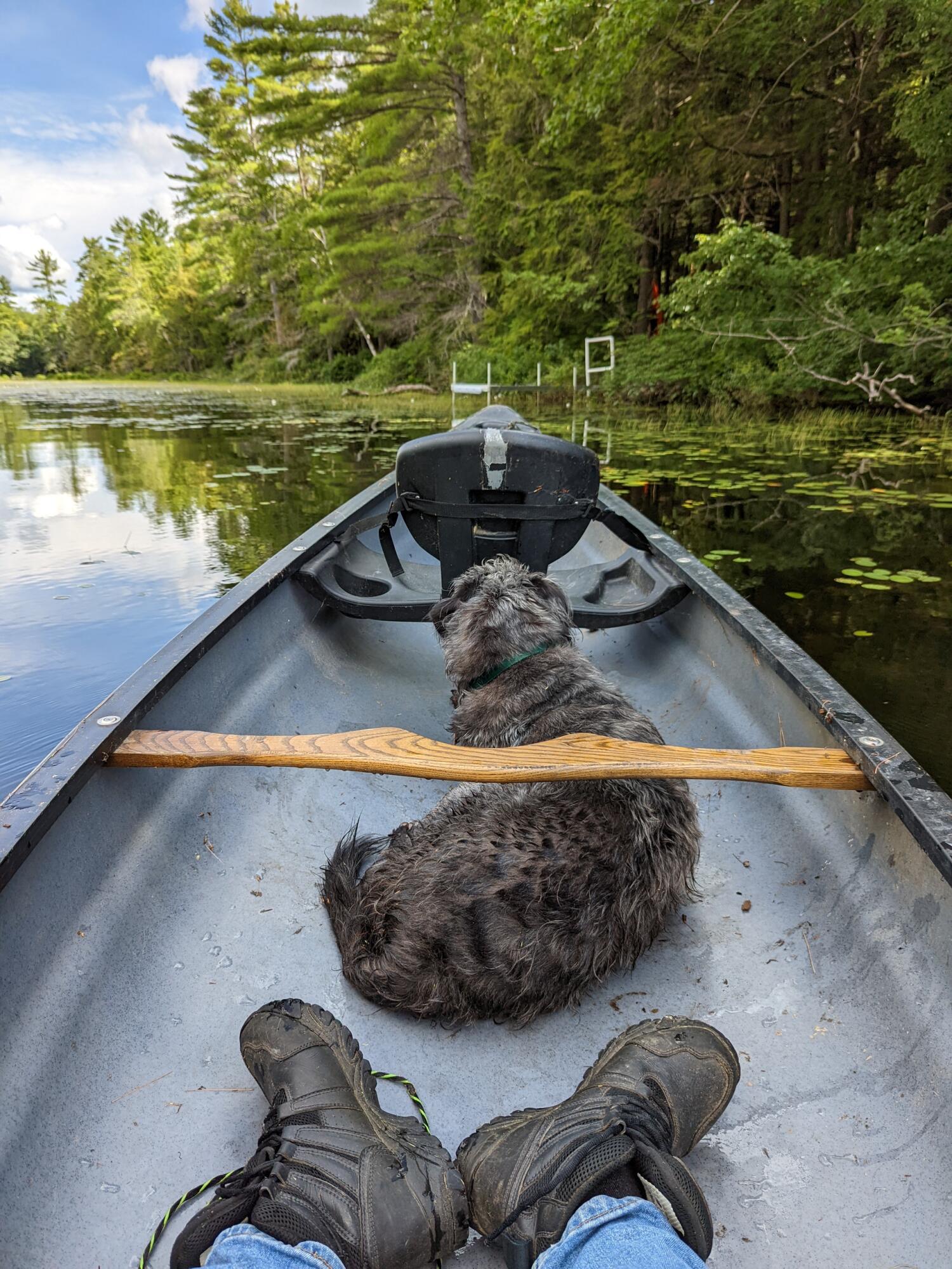0 Sandy River Road Chesterville, ME 04938 - Photo 58 of 84 DAVID POND
