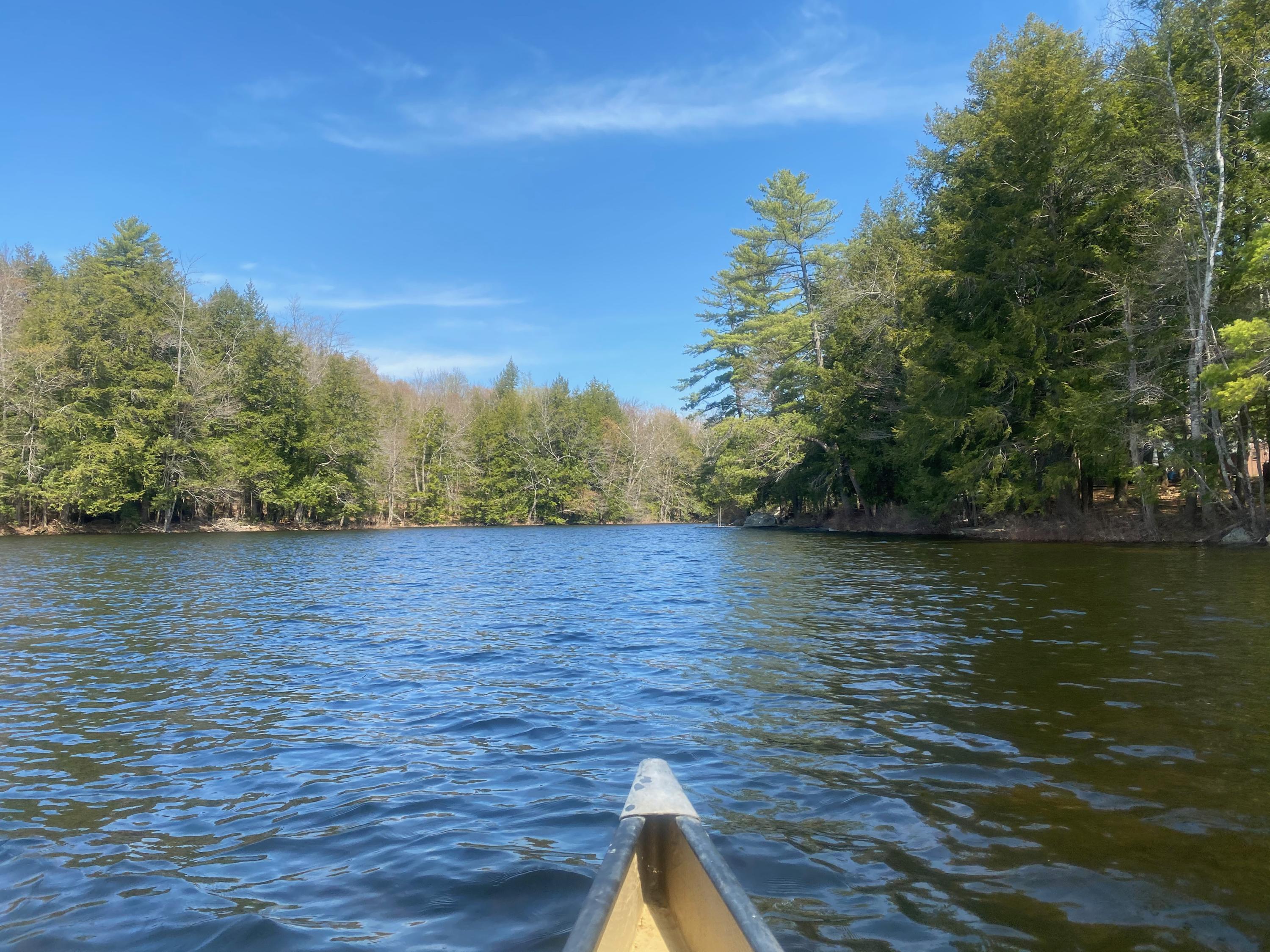 0 Sandy River Road Chesterville, ME 04938 - Photo 6 of 84 LAKEFRONT