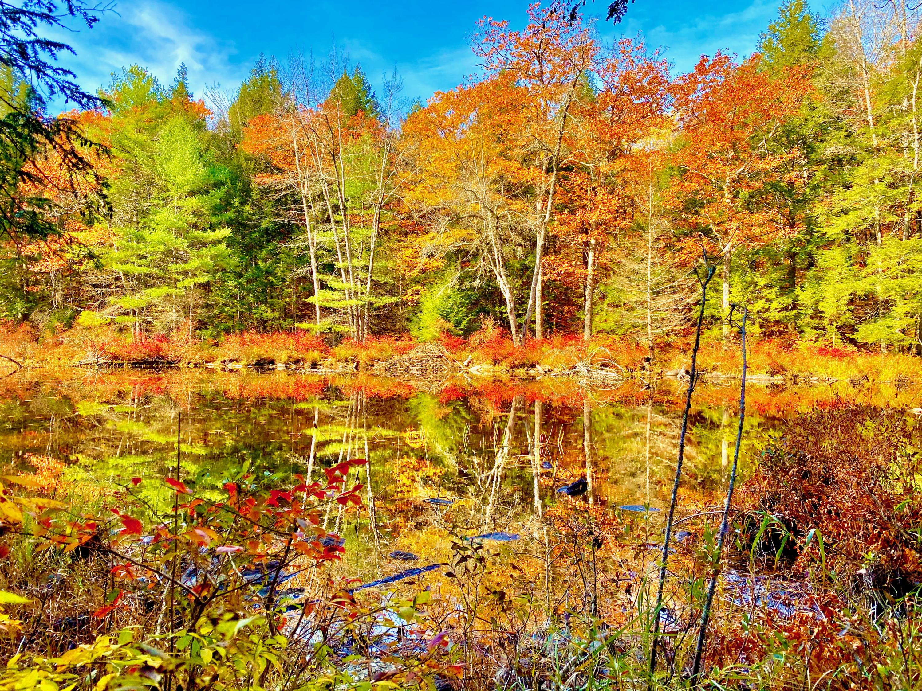 0 Sandy River Road Chesterville, ME 04938 - Photo 61 of 84 DAVID POND