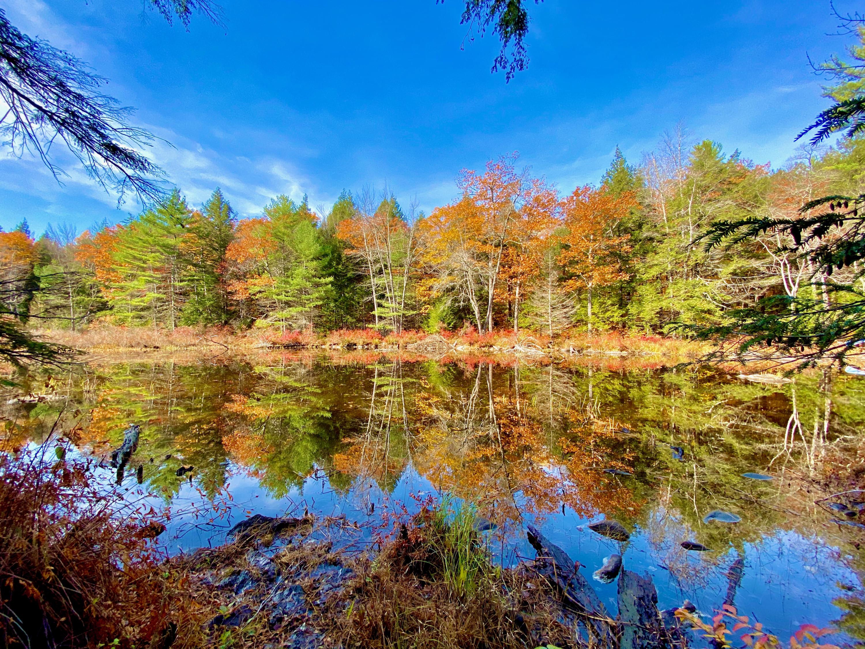 0 Sandy River Road Chesterville, ME 04938 - Photo 62 of 84 DAVID POND