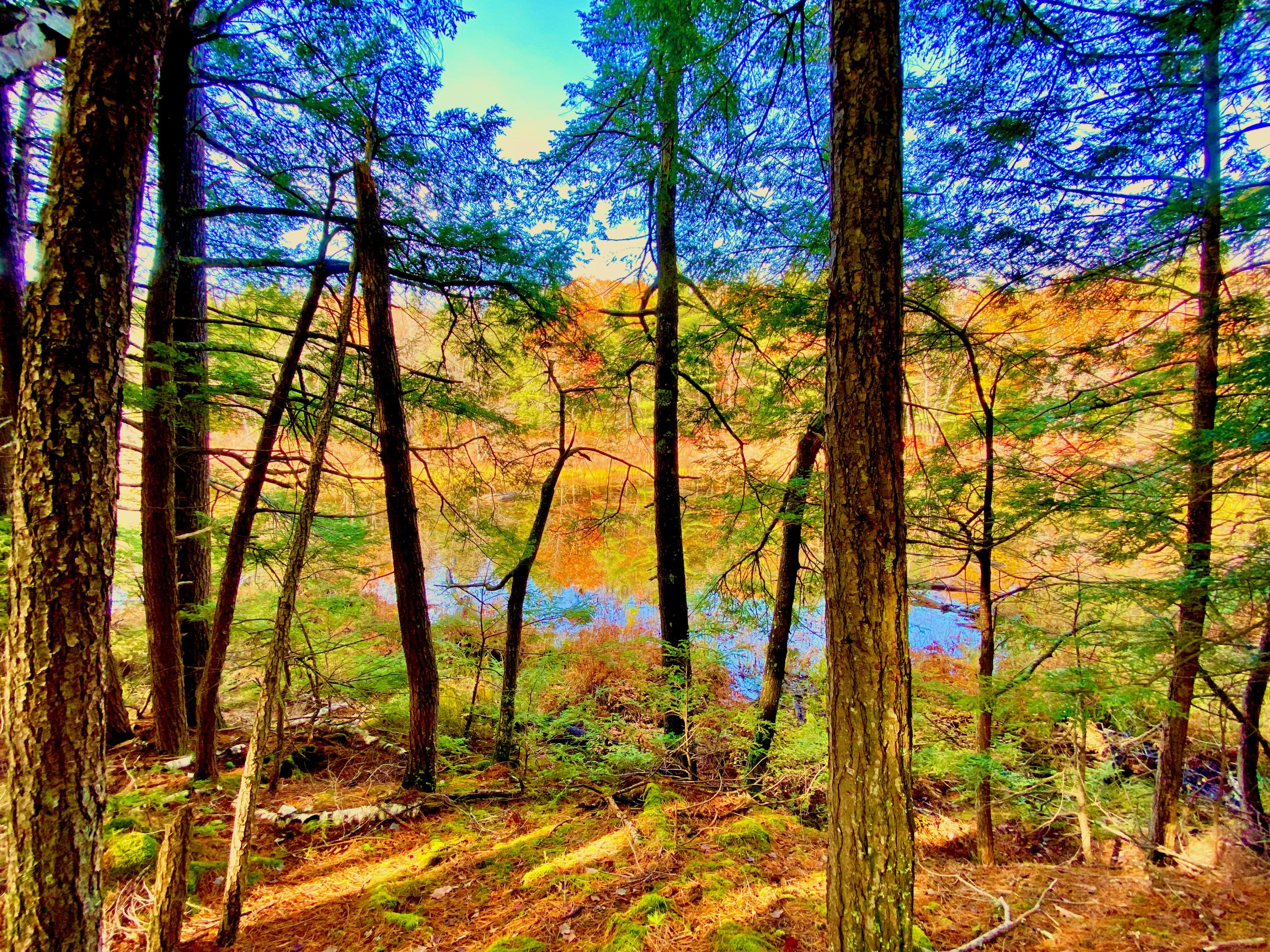 0 Sandy River Road Chesterville, ME 04938 - Photo 63 of 84 DAVID POND