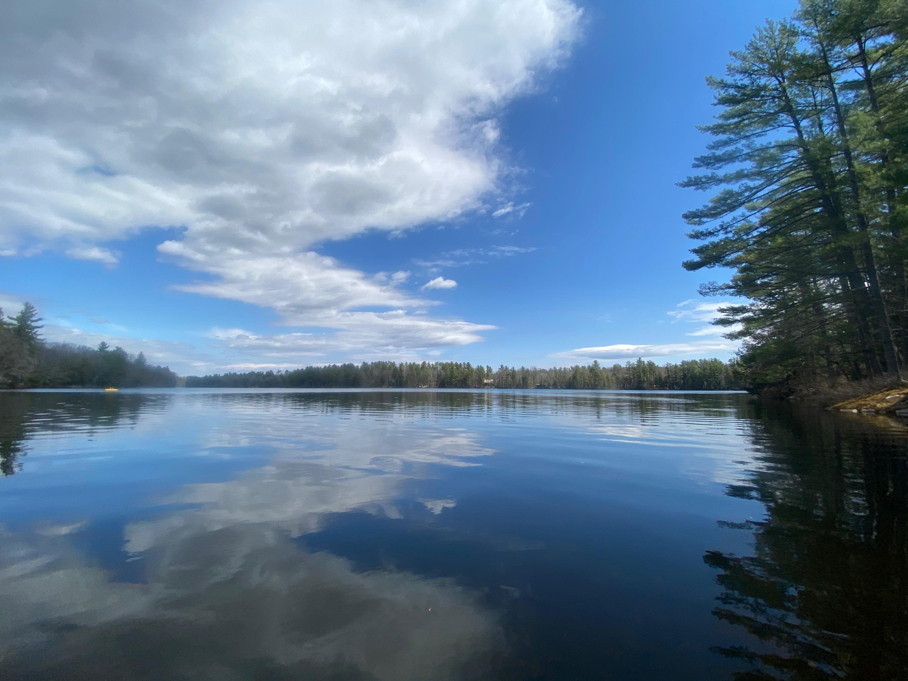 0 Sandy River Road Chesterville, ME 04938 - Photo 7 of 84 DAVID POND