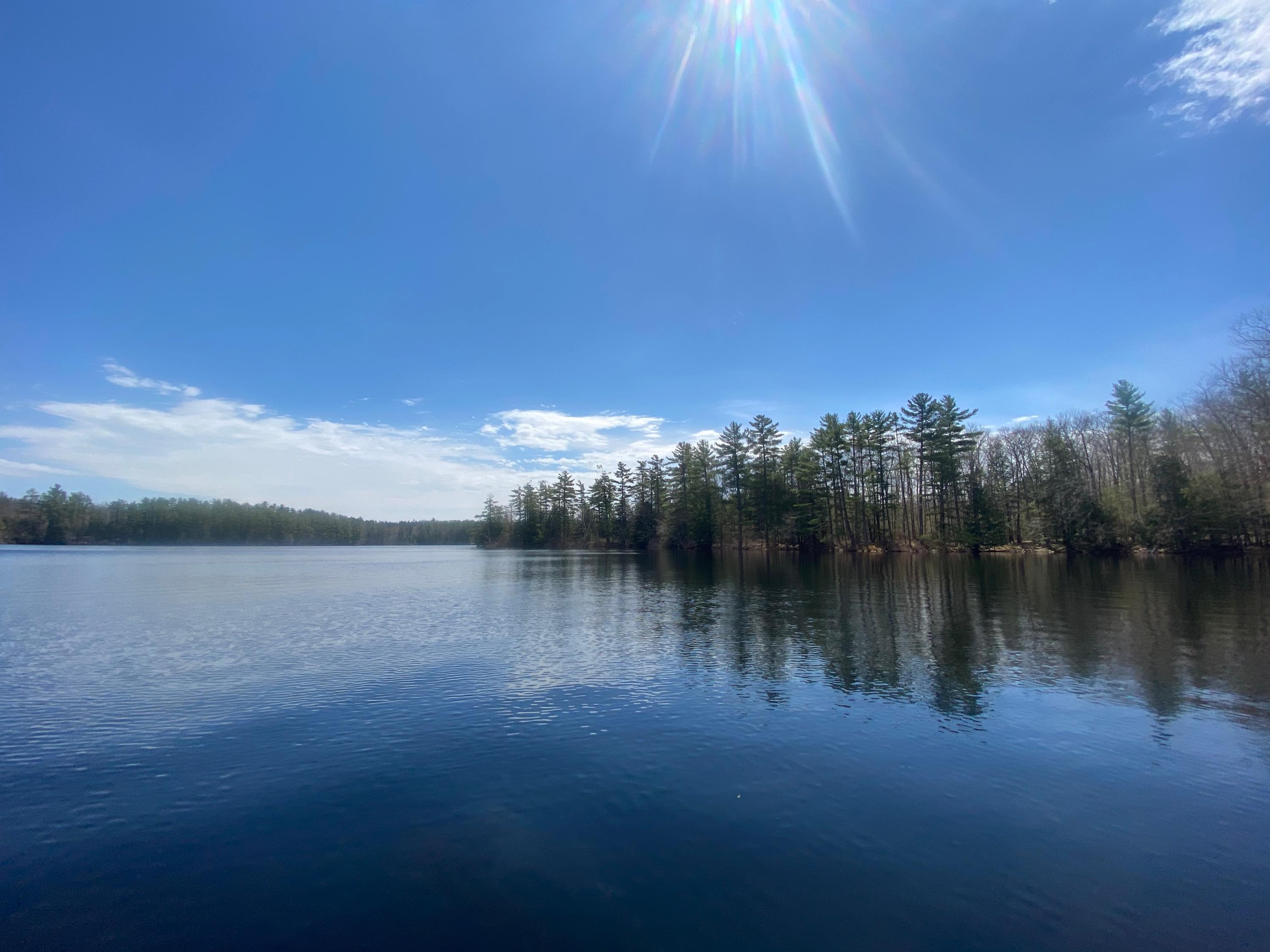0 Sandy River Road Chesterville, ME 04938 - Photo 71 of 84 DAVID POND