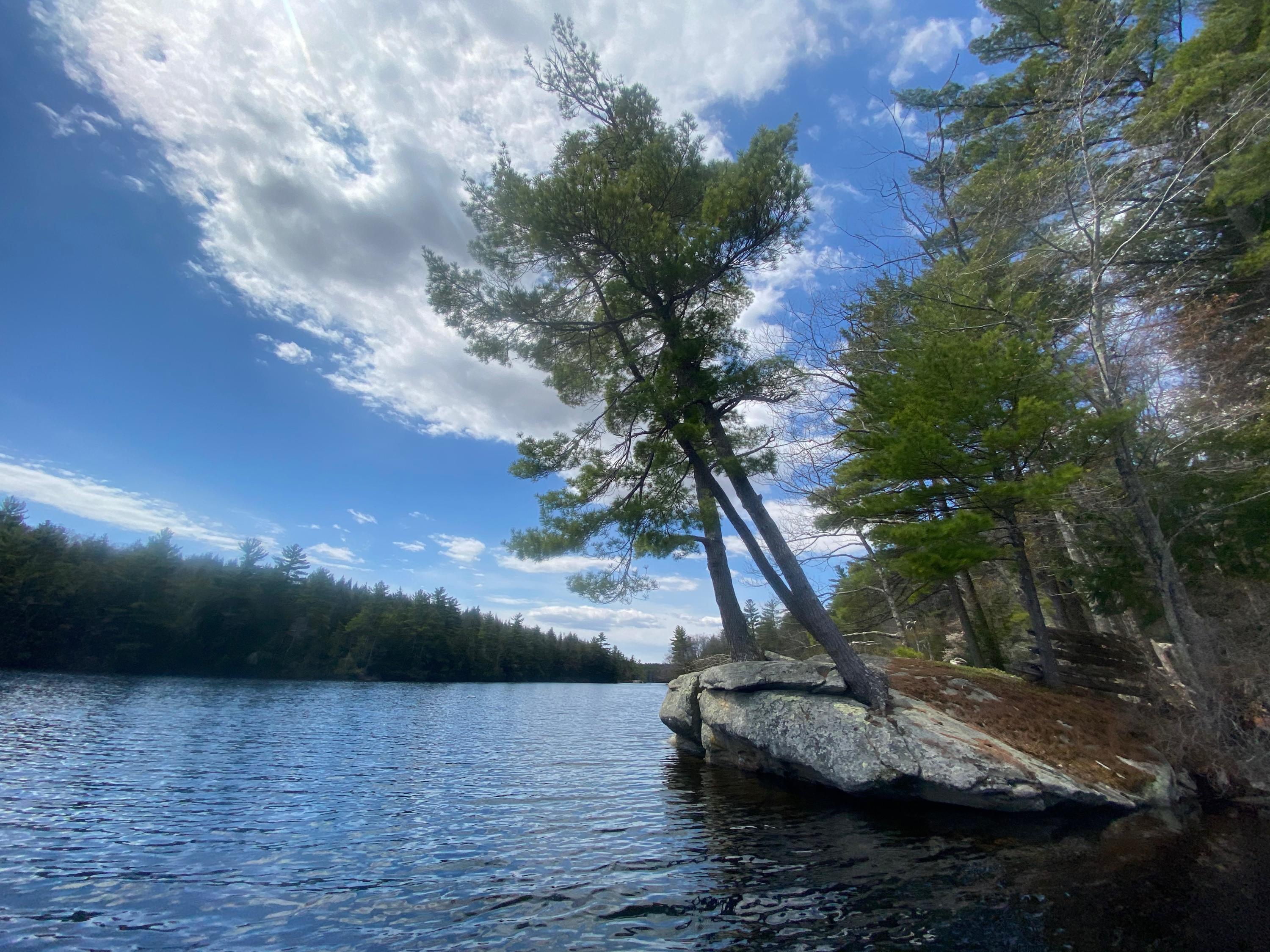 0 Sandy River Road Chesterville, ME 04938 - Photo 73 of 84 DAVID POND
