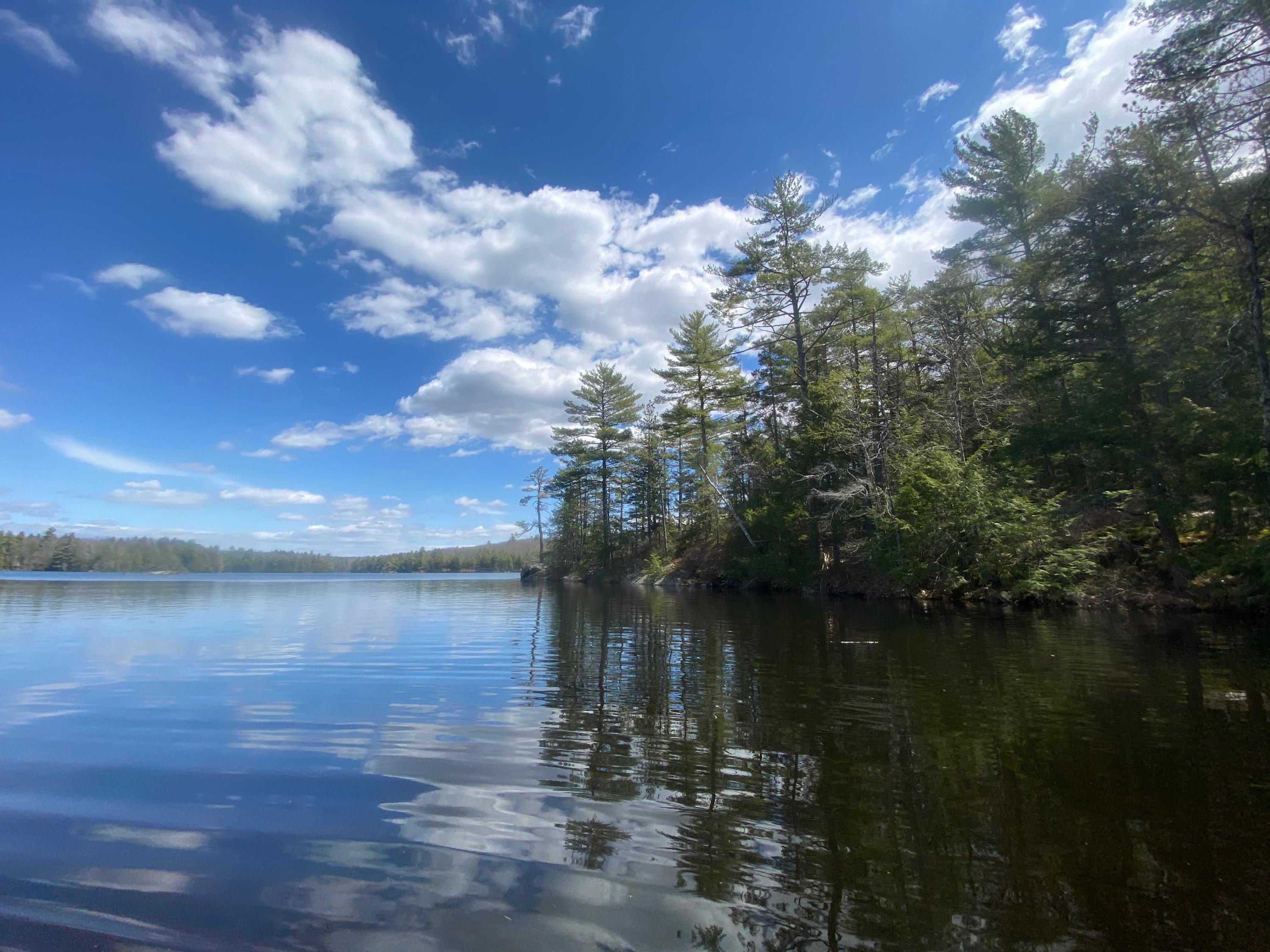 0 Sandy River Road Chesterville, ME 04938 - Photo 74 of 84 DAVID POND