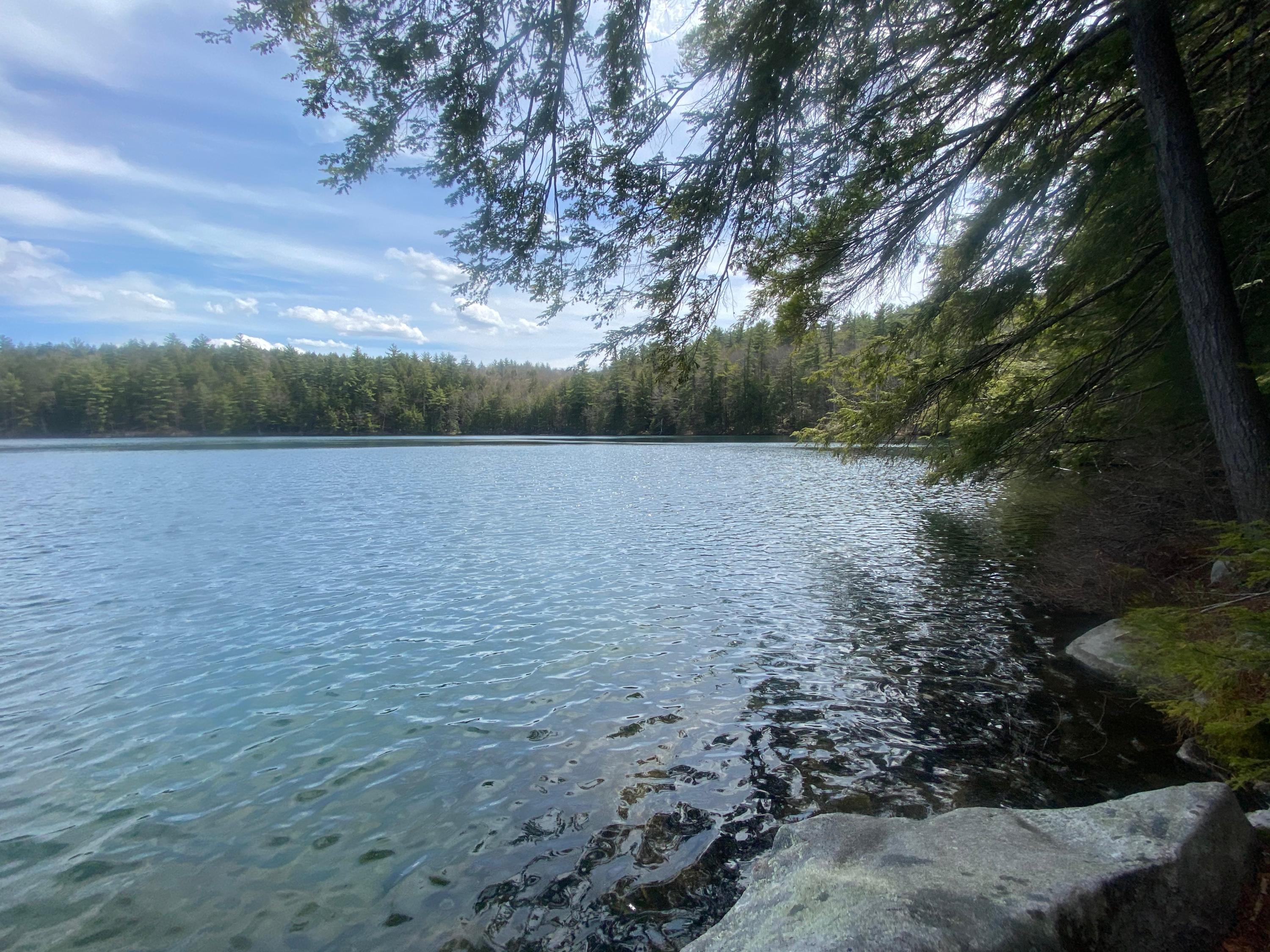 0 Sandy River Road Chesterville, ME 04938 - Photo 76 of 84 BASIN POND