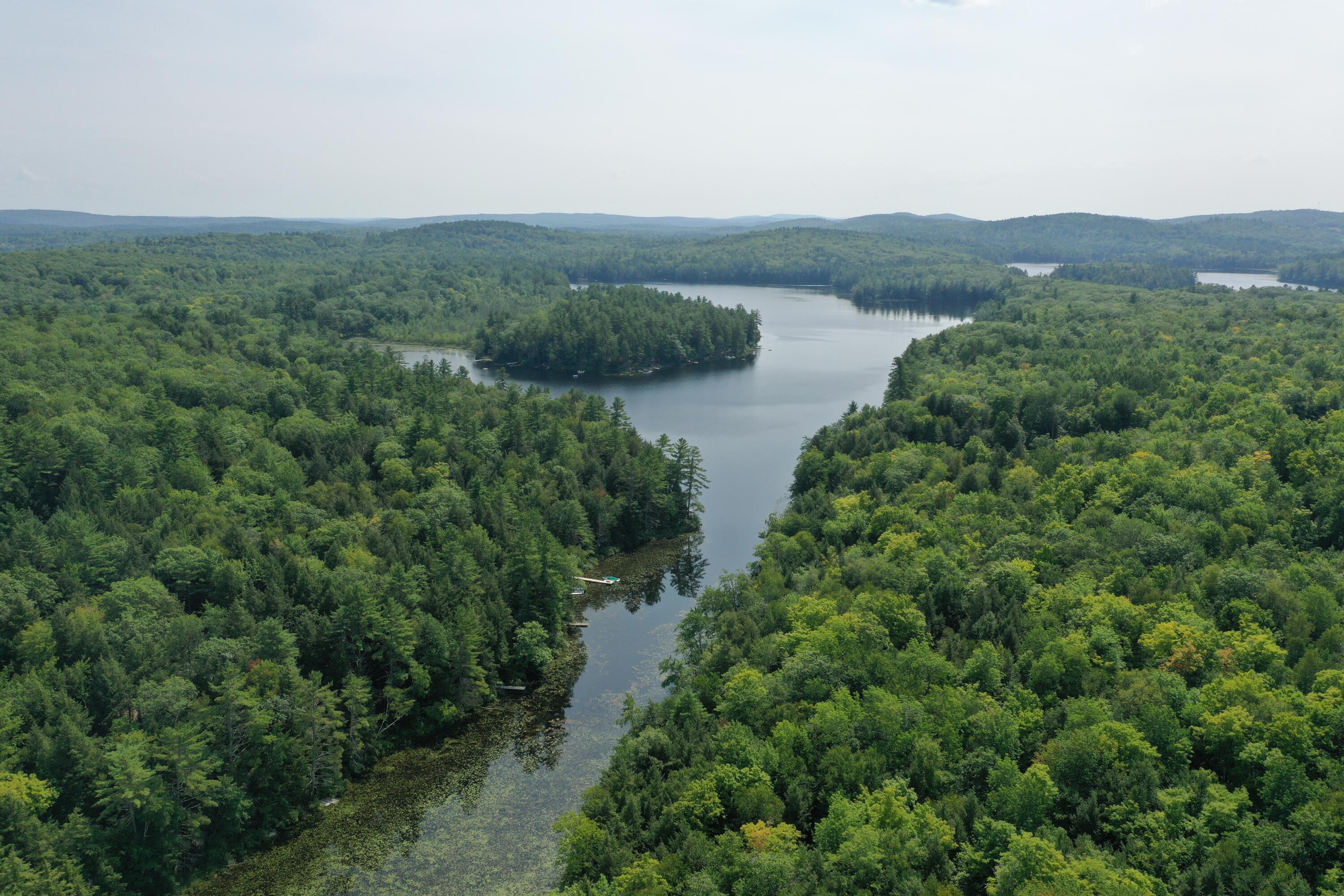 0 Sandy River Road Chesterville, ME 04938 - Photo 8 of 84 DAVID POND