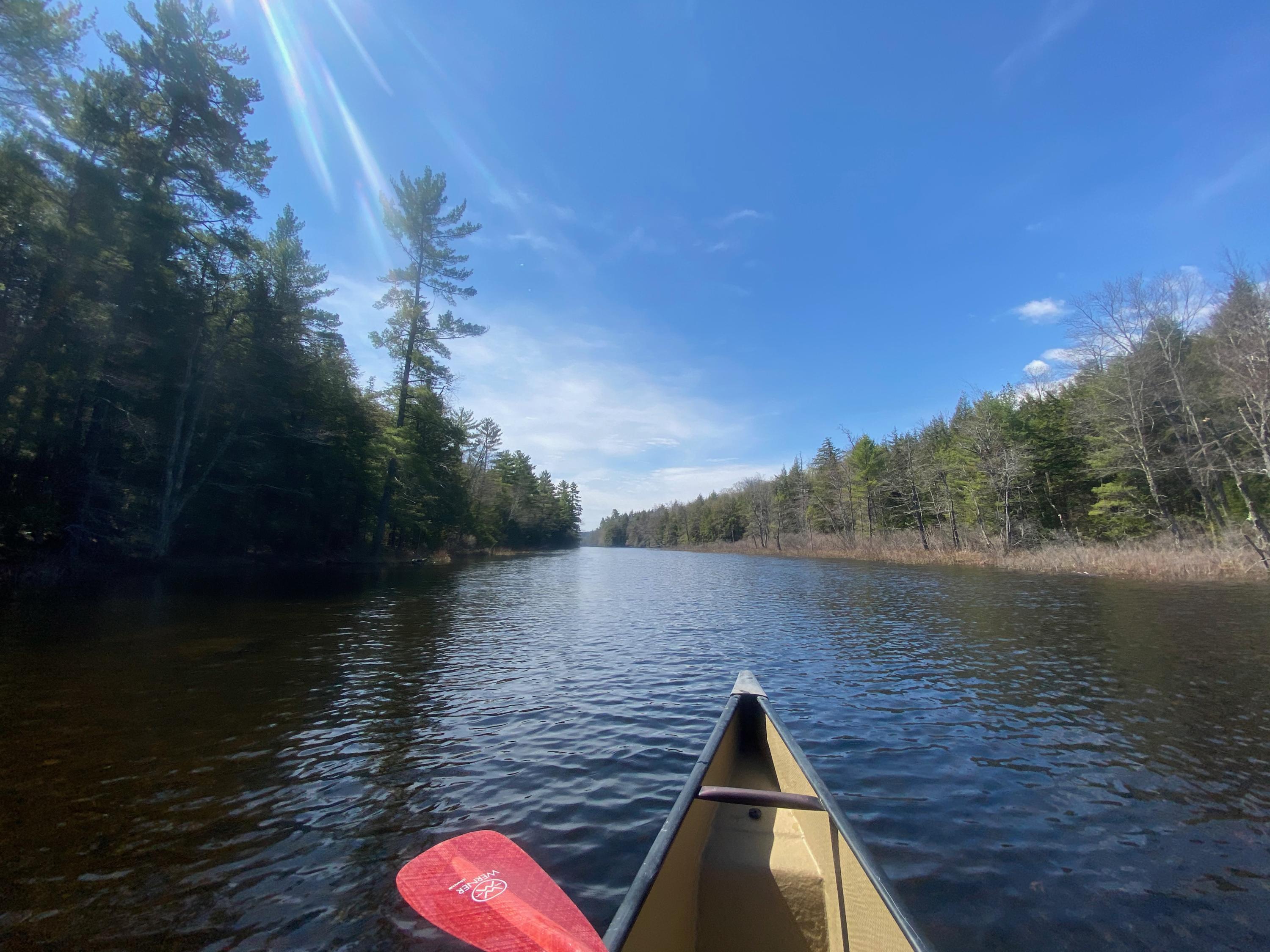 0 Sandy River Road Chesterville, ME 04938 - Photo 81 of 84 DAVID POND