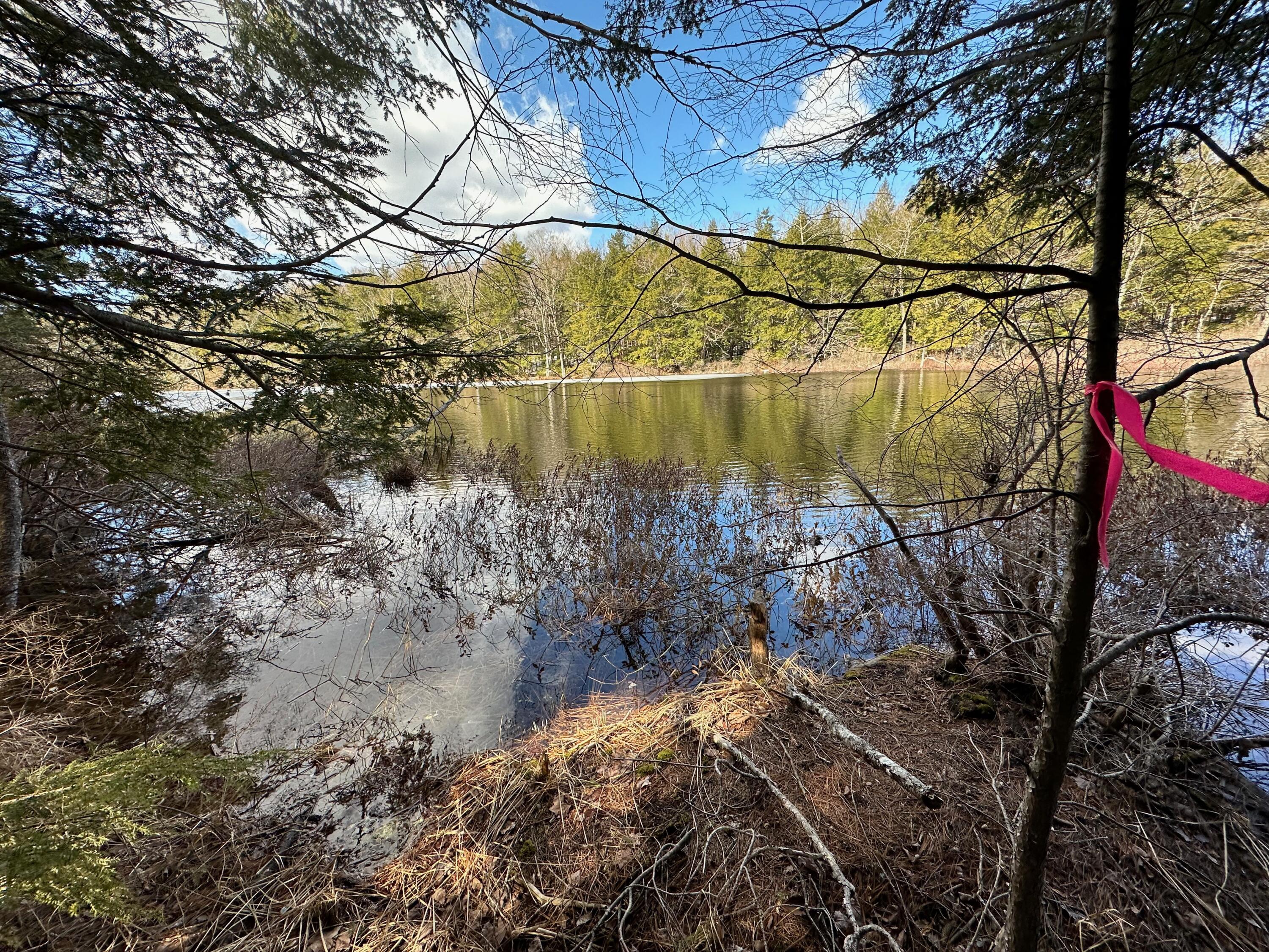 0 Sandy River Road Chesterville, ME 04938 - Photo 9 of 84 LAKEFRONT