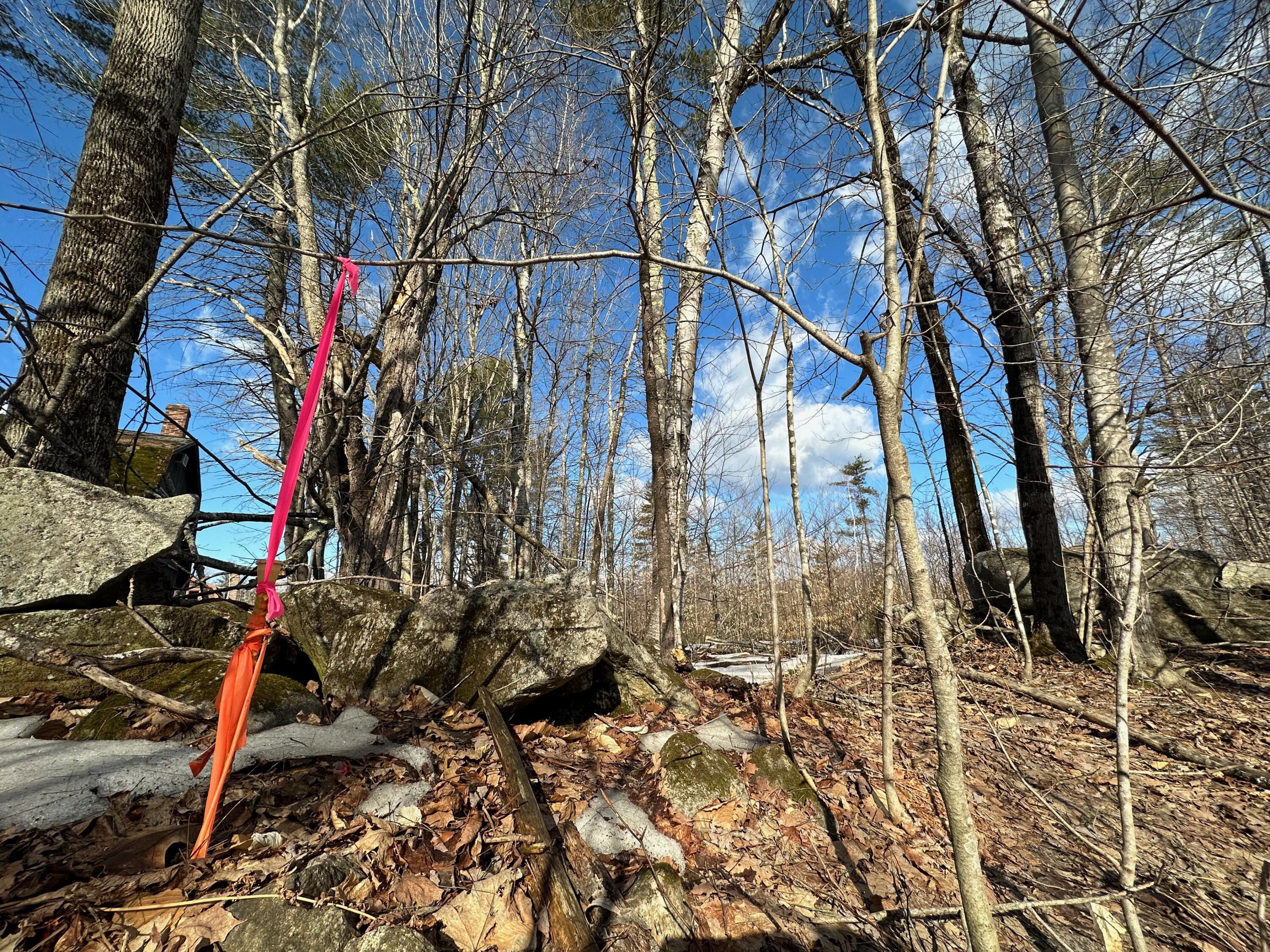 0 Sandy River Road Chesterville, ME 04938 - Photo 10 of 84 SURVEY PIN