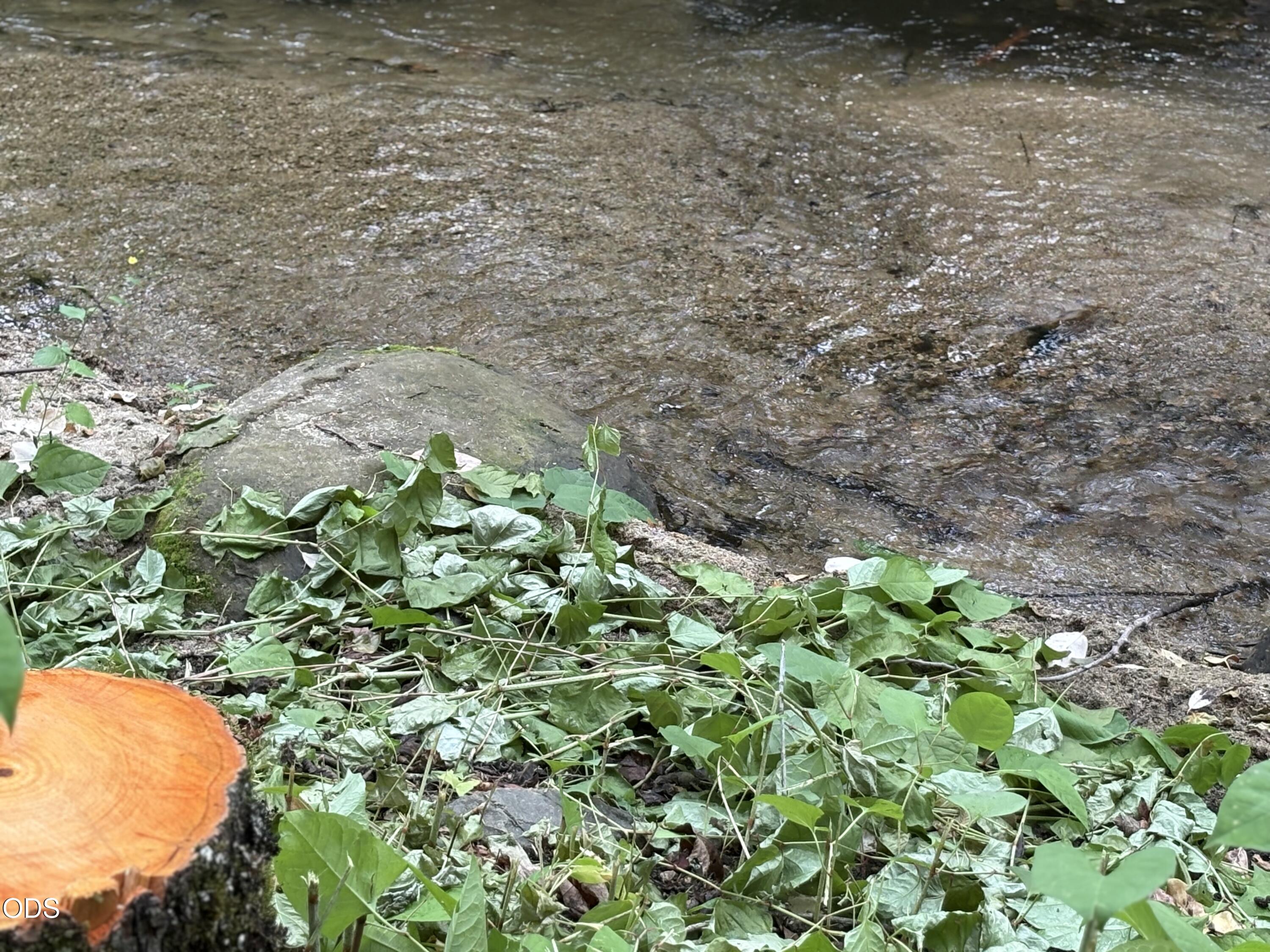 1600 Neil Creek Road Ashland, OR 97520 - Photo 3 of 9