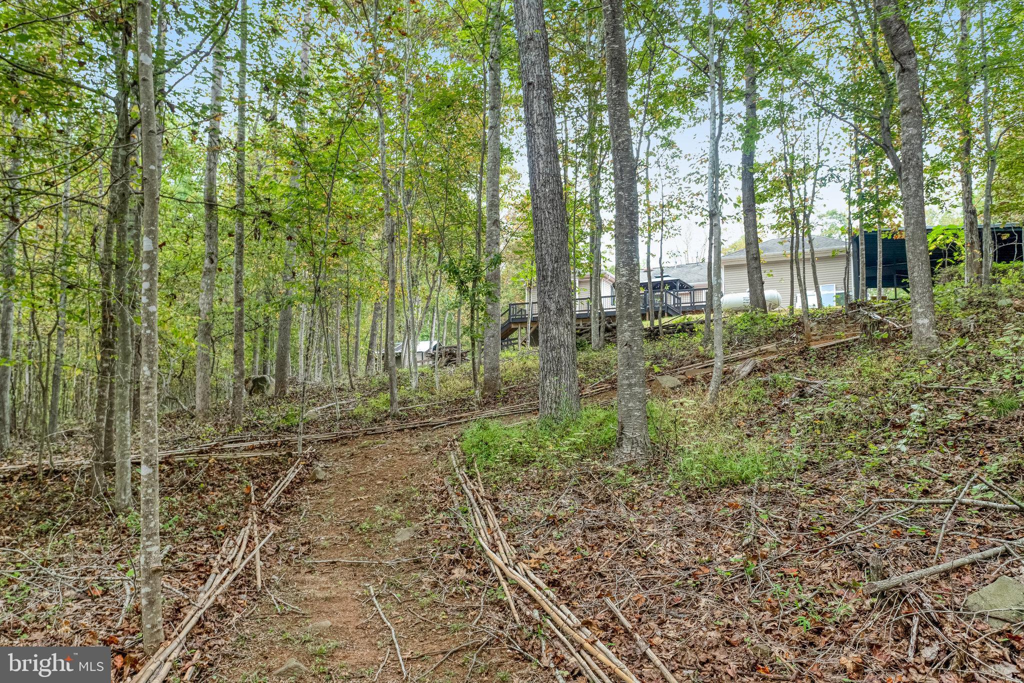 5536 Keyser Road Hume, VA 22639 - Photo 54 of 77 Gallery Image 54