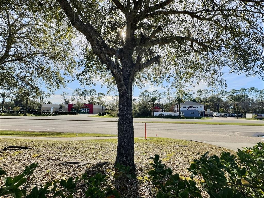 0 North State Street Bunnell, FL 32110 - Photo 8 of 13 a view of an outdoor space