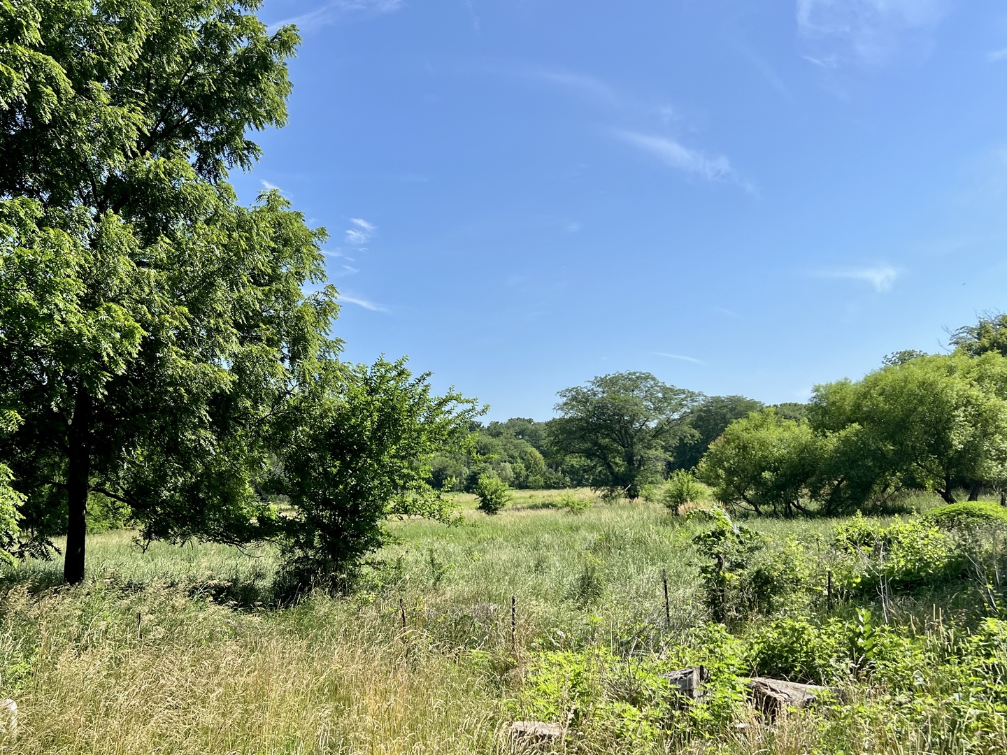 13174 Harrold Point Road Wapella, IL 61777 - Photo 22 of 23 a view of a garden