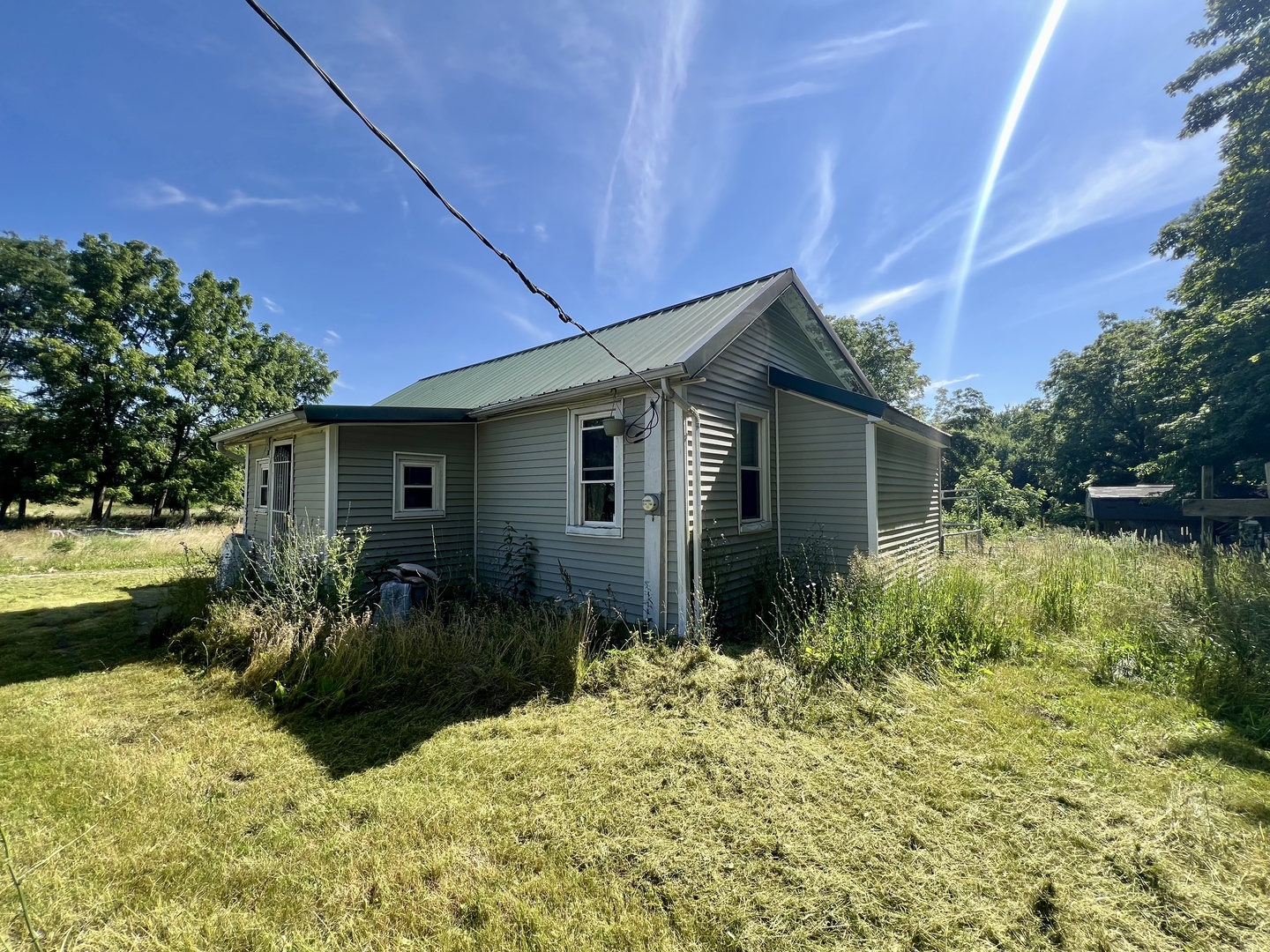 13174 Harrold Point Road Wapella, IL 61777 - Photo 4 of 23 a view of backyard with potted plants and a large tree