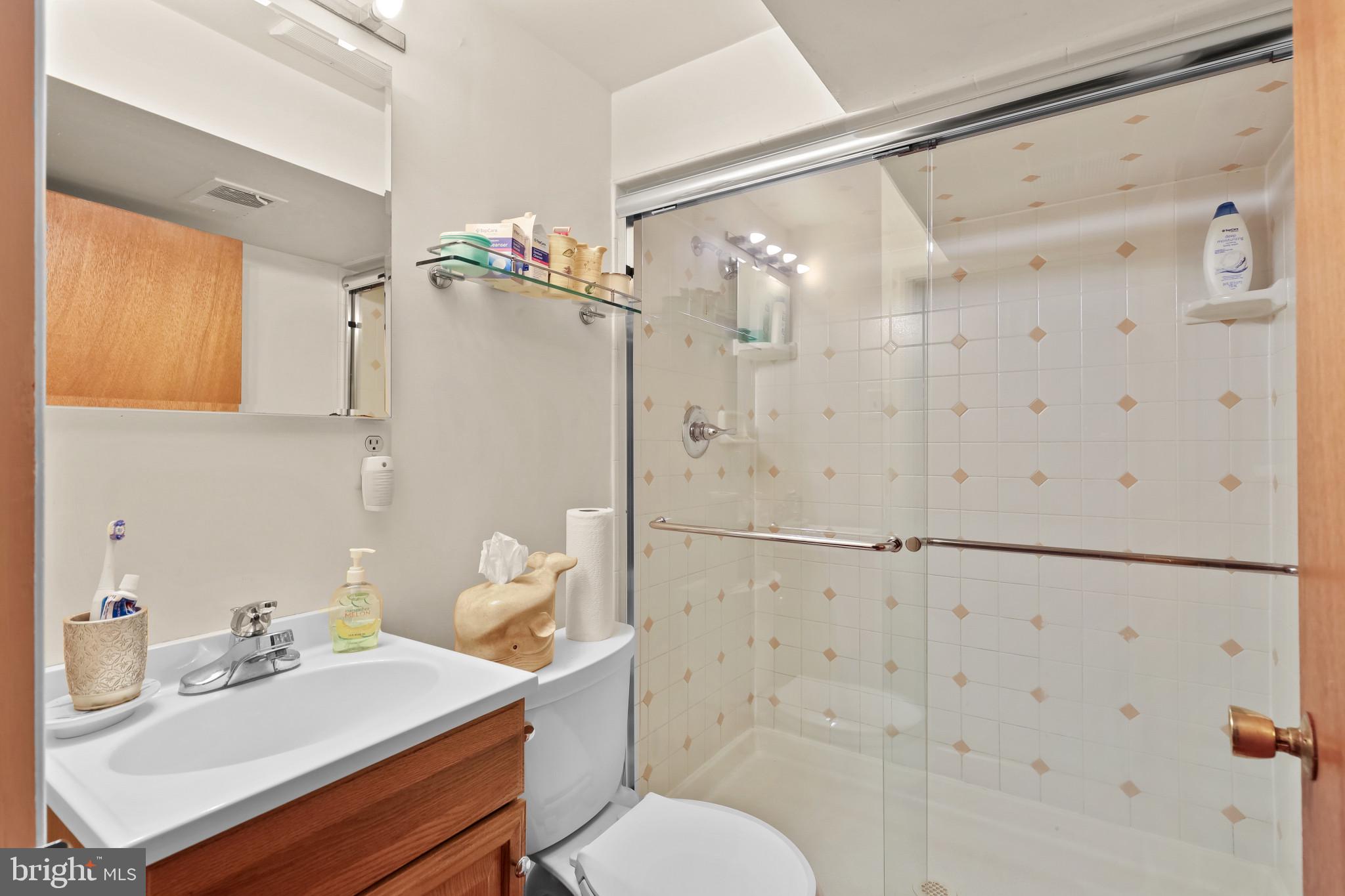 117 Cherry Valley Road Reisterstown, MD 21136 - Photo 26 of 41 Full Bath (Lower Level)