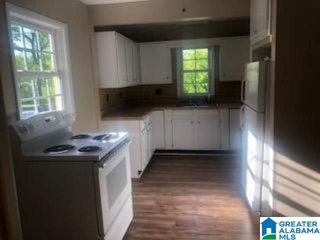 314 Old Wagon Road Pell City, AL 35125 - Photo 7 of 20