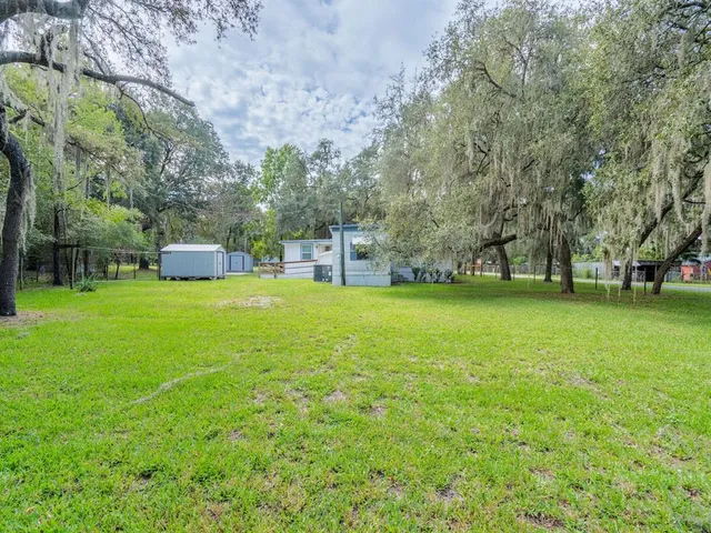 a view of a park with large trees