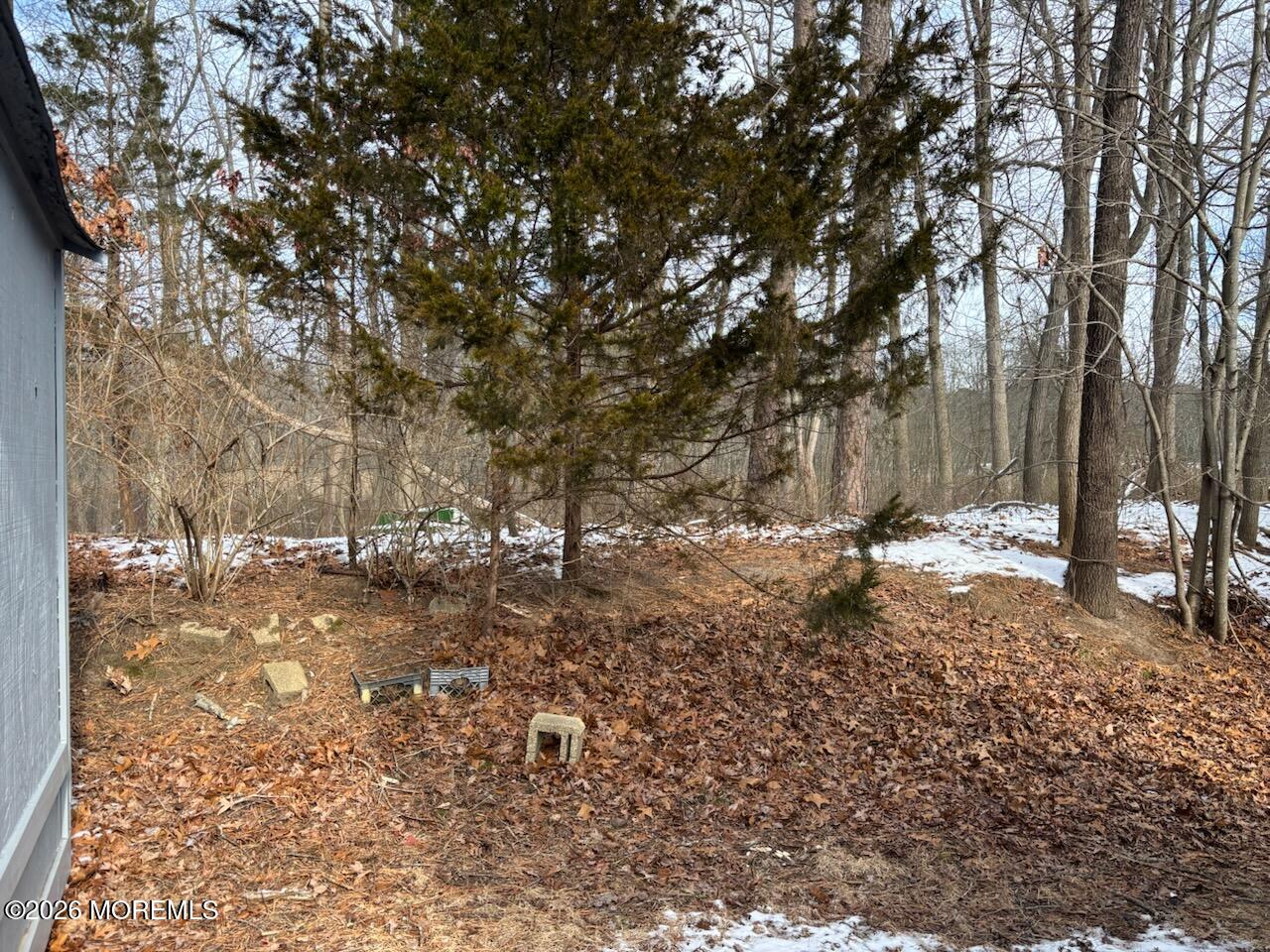 4 Alexander Avenue Jackson, NJ 08527 - Photo 5 of 29 IMG_3651