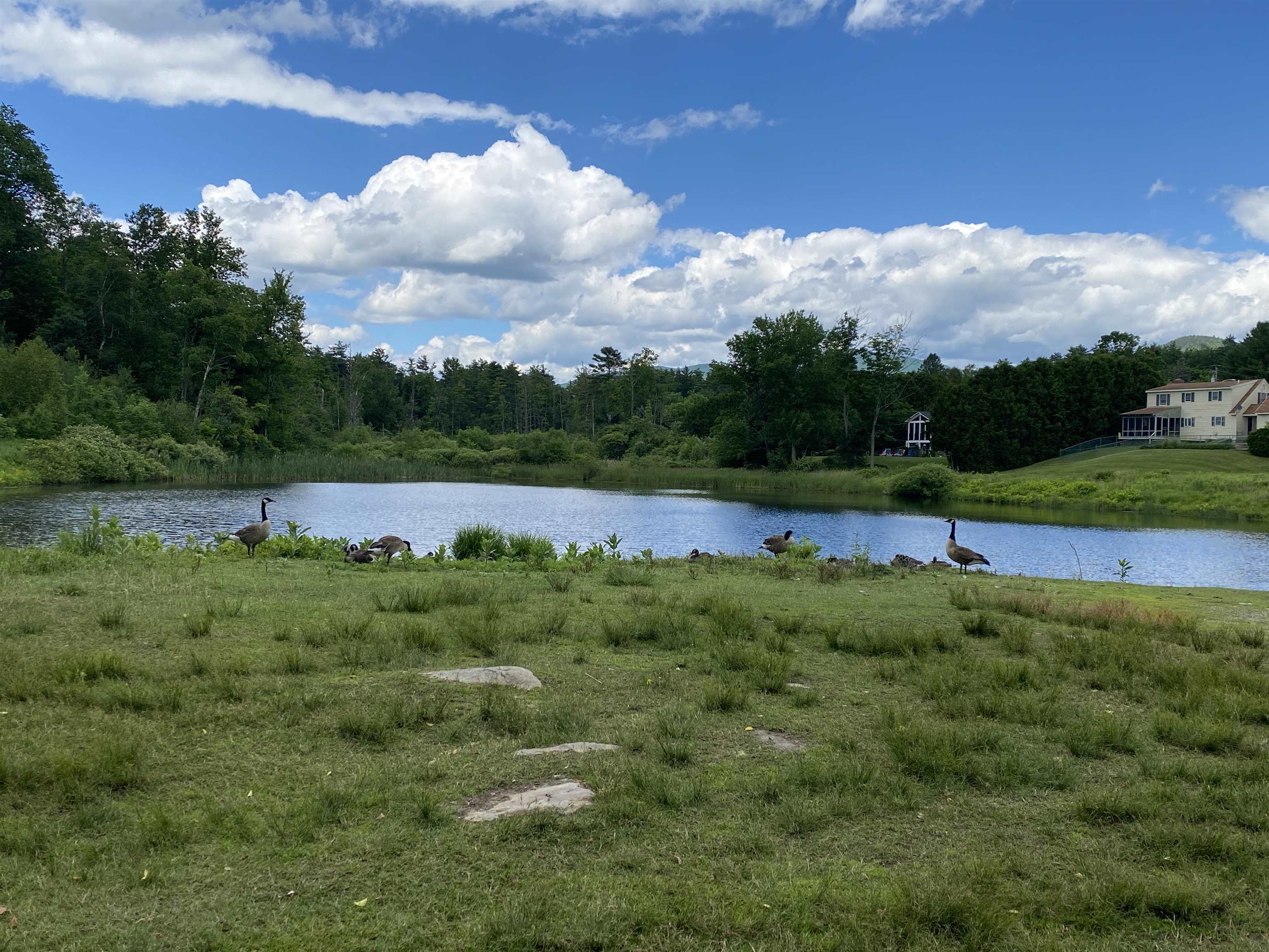 0 Sharon Drive, Unit 12 Rutland, VT 05701 - Photo 12 of 15