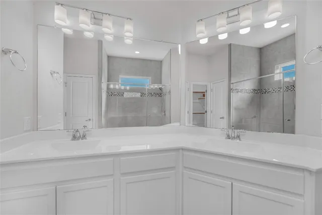 a bathroom with a sink shower and a mirror