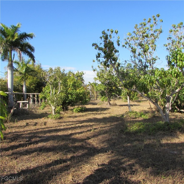 8390 Stringfellow Road St. James City, FL 33956 - Photo 11 of 25 a view of a house with a yard