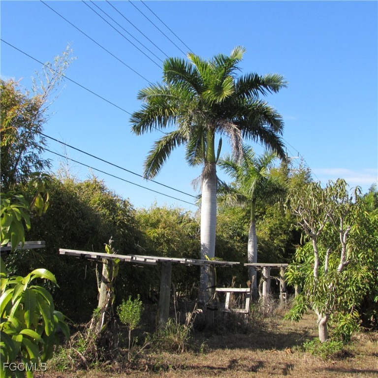 8390 Stringfellow Road St. James City, FL 33956 - Photo 12 of 25 a backyard of a house with lots of green space