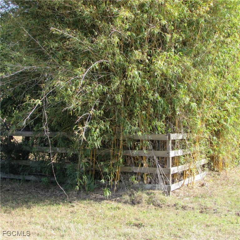 8390 Stringfellow Road St. James City, FL 33956 - Photo 18 of 25 a backyard of a house with lots of green space
