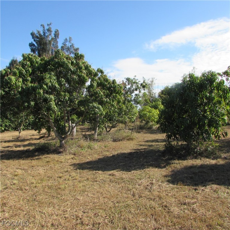 8390 Stringfellow Road St. James City, FL 33956 - Photo 4 of 25 a view of a yard with an trees