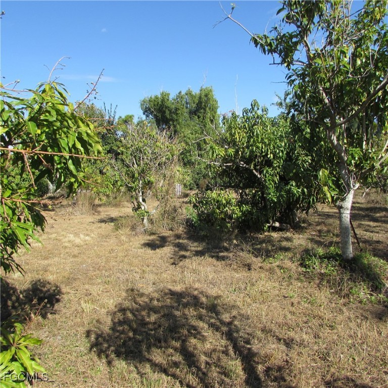 8390 Stringfellow Road St. James City, FL 33956 - Photo 9 of 25 a view of a yard with plants and a tree